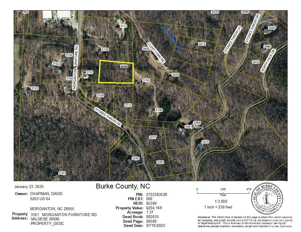 3161 Morganton Furniture Road - Photo 40