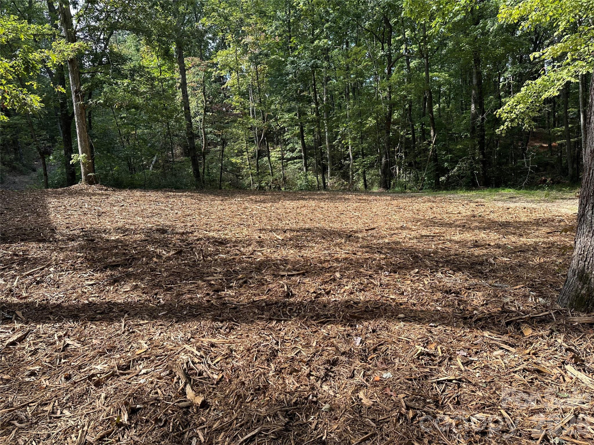 3161 Morganton Furniture Road - Photo 10