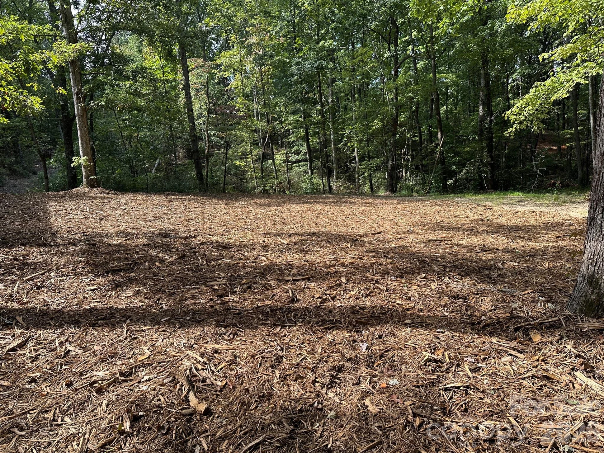 3161 Morganton Furniture Road - Photo 10