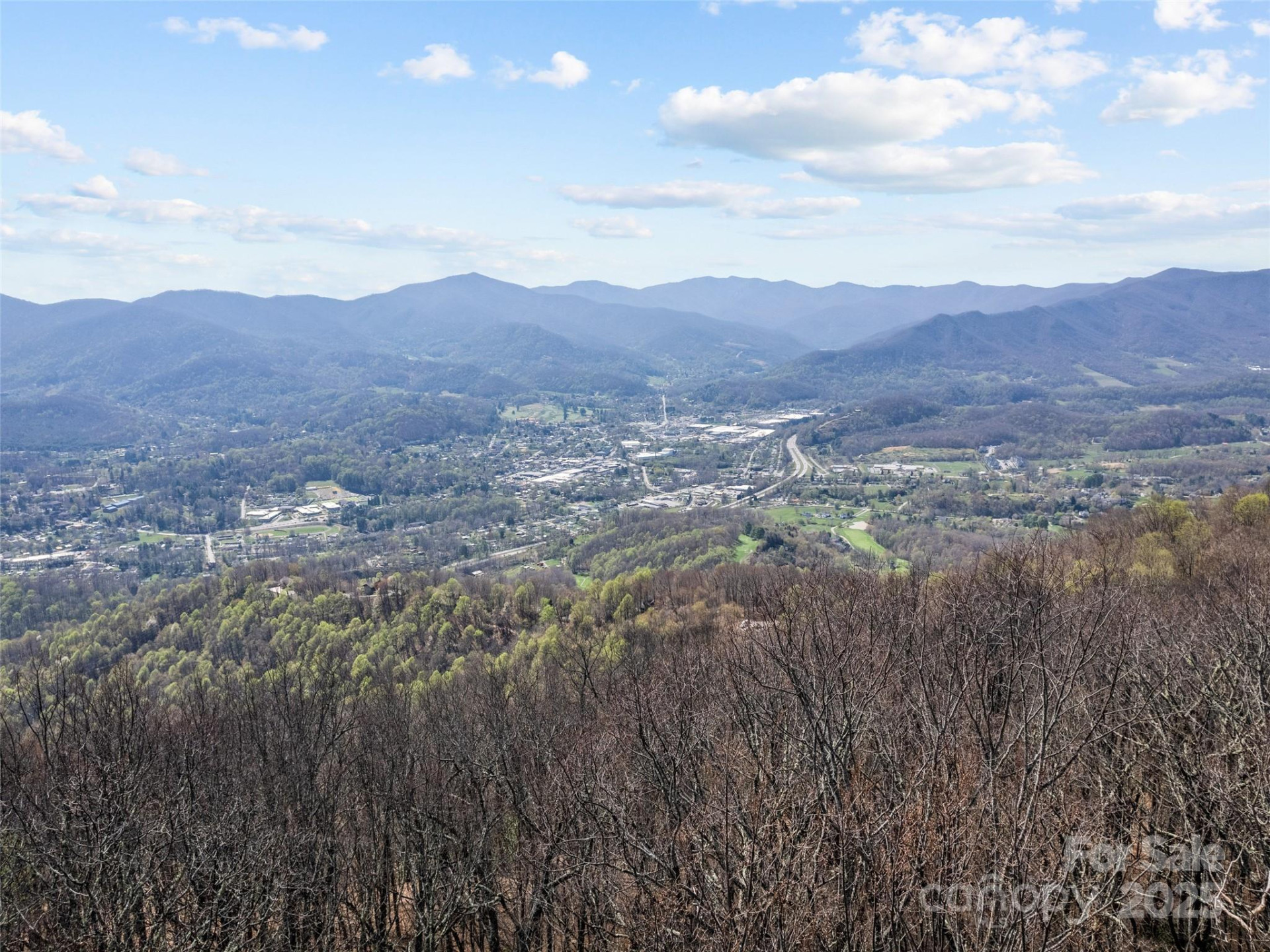 000 Larchwood Point - Photo 2