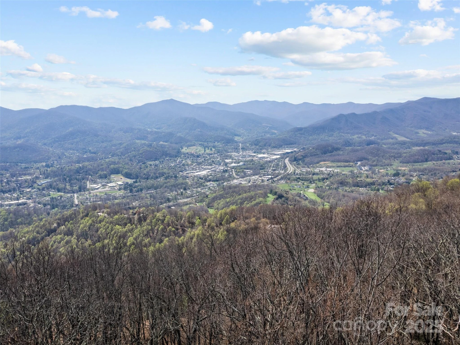 000 Larchwood Point - Photo 2