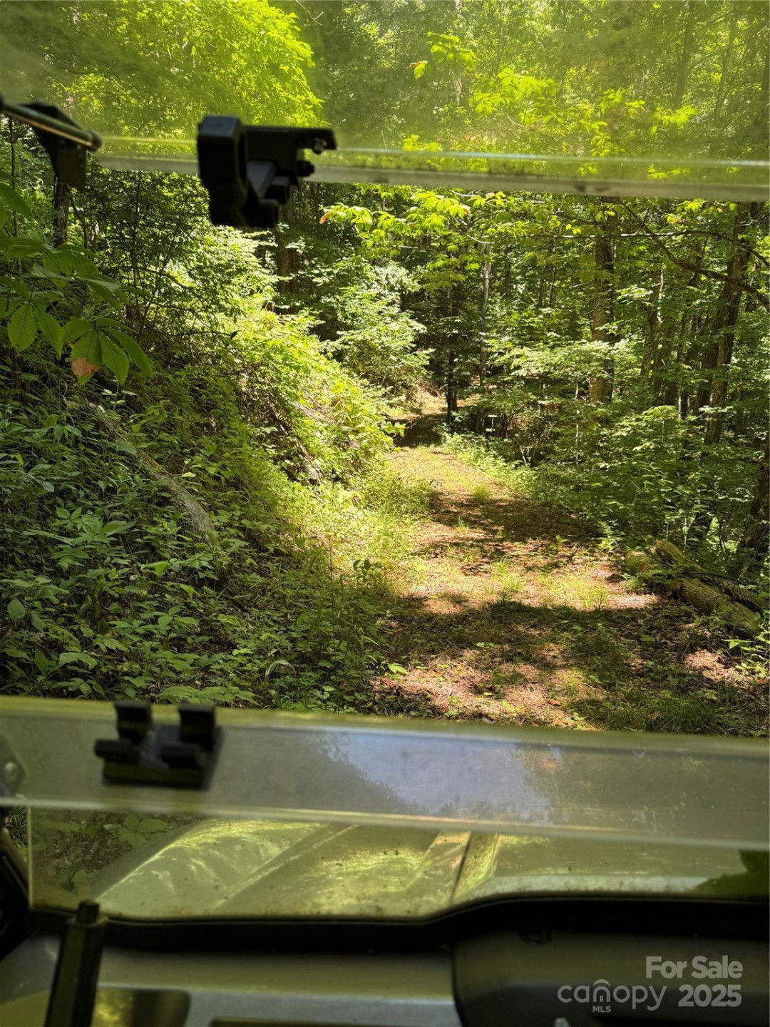 000 Larchwood Point - Photo 11