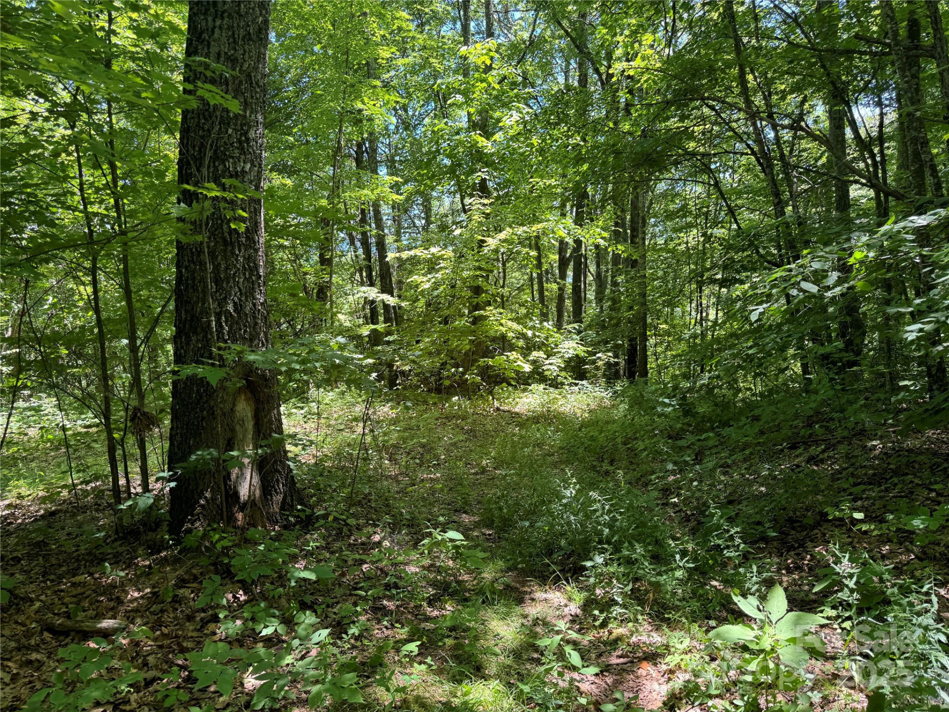 000 Larchwood Point - Photo 12