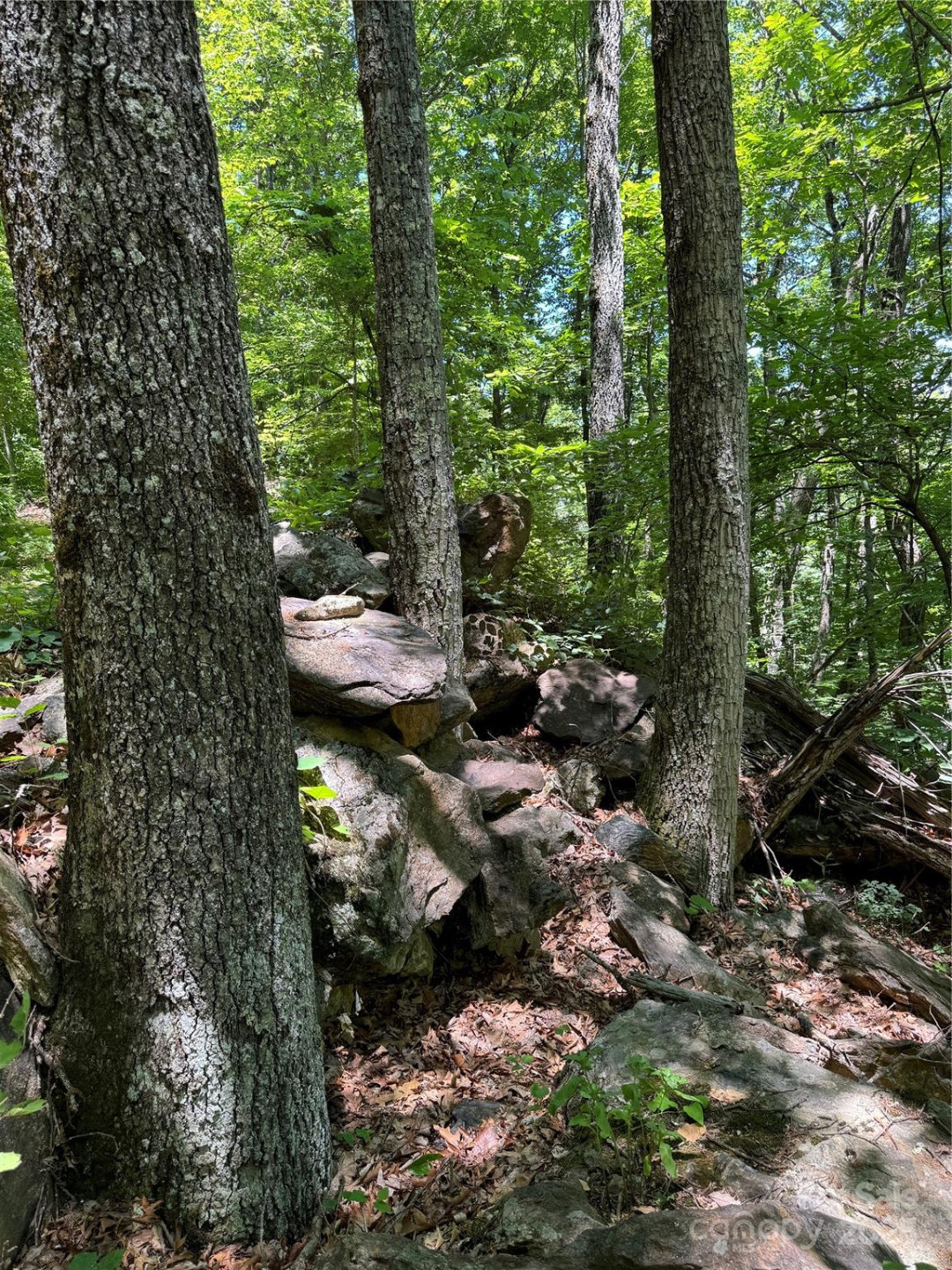 000 Larchwood Point - Photo 13