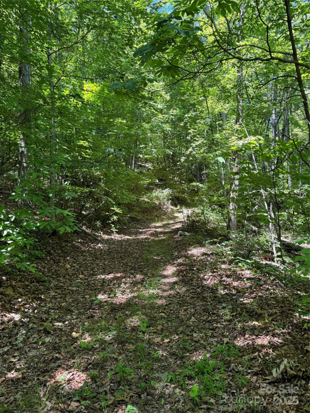 000 Larchwood Point - Photo 14