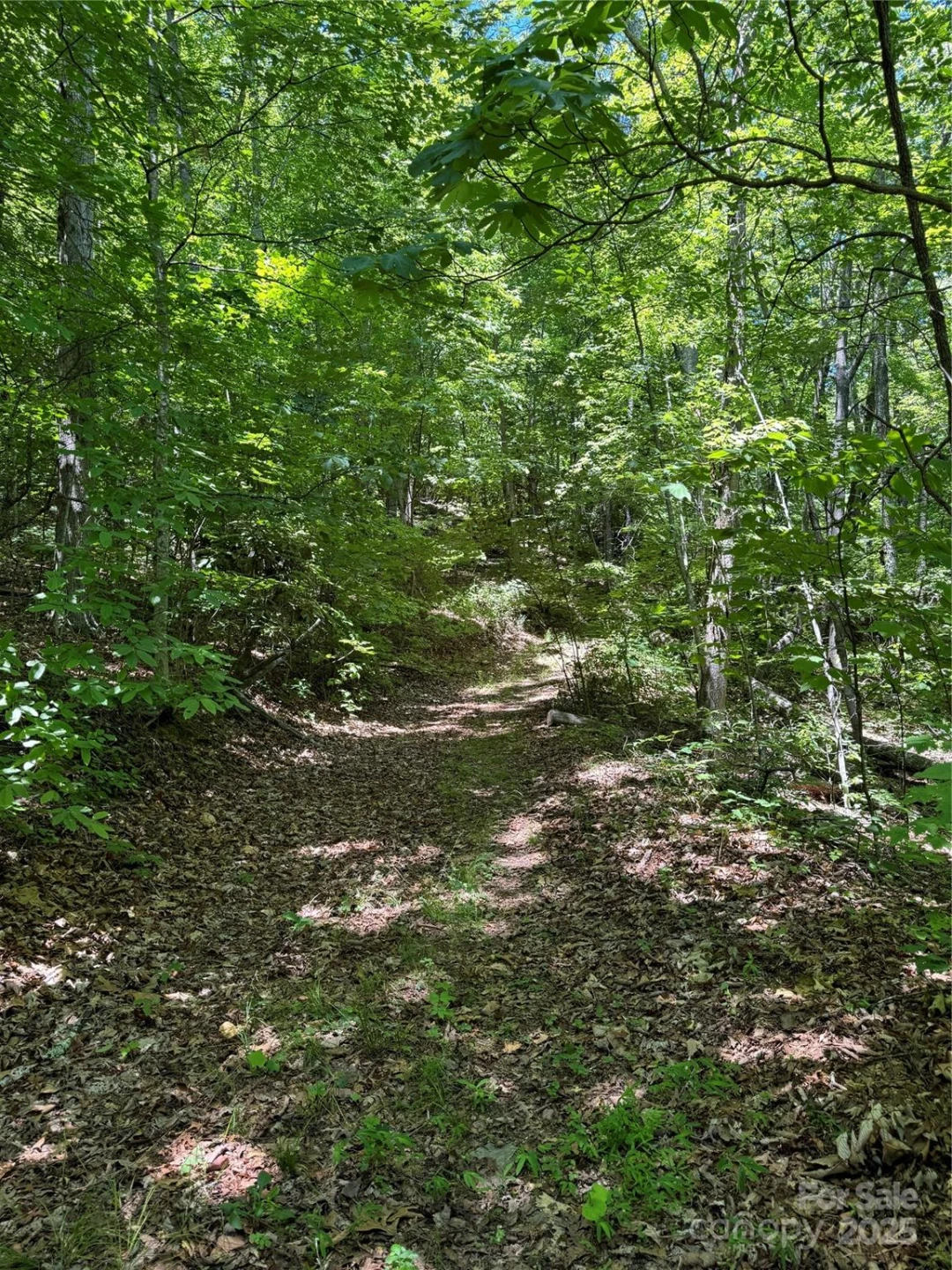 000 Larchwood Point - Photo 14