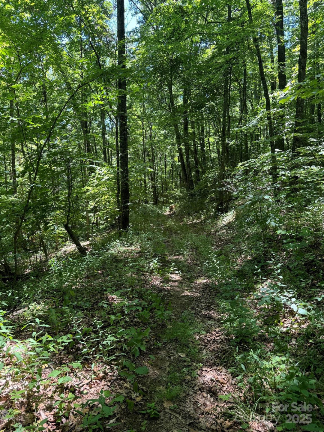 000 Larchwood Point - Photo 15