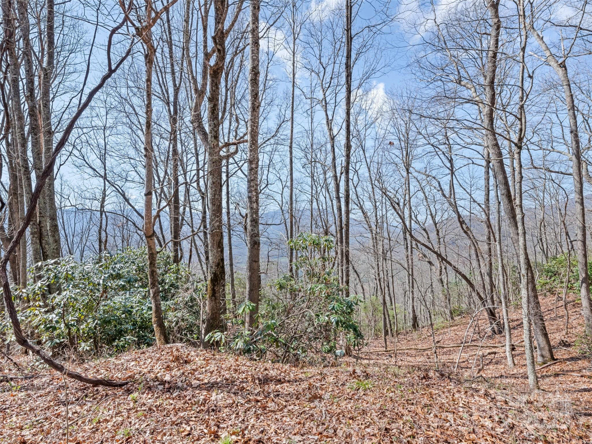 000 Larchwood Point - Photo 17