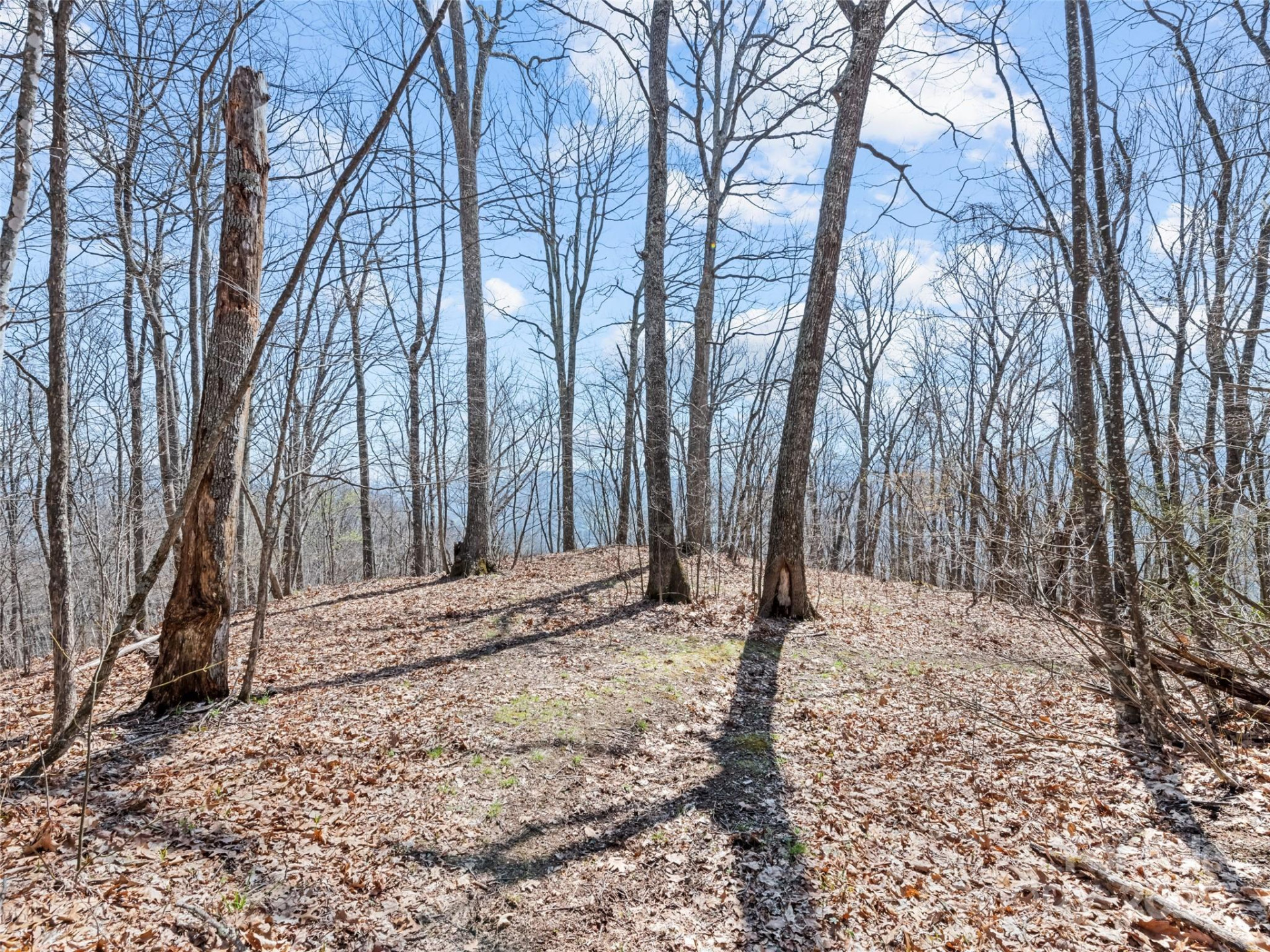 000 Larchwood Point - Photo 18