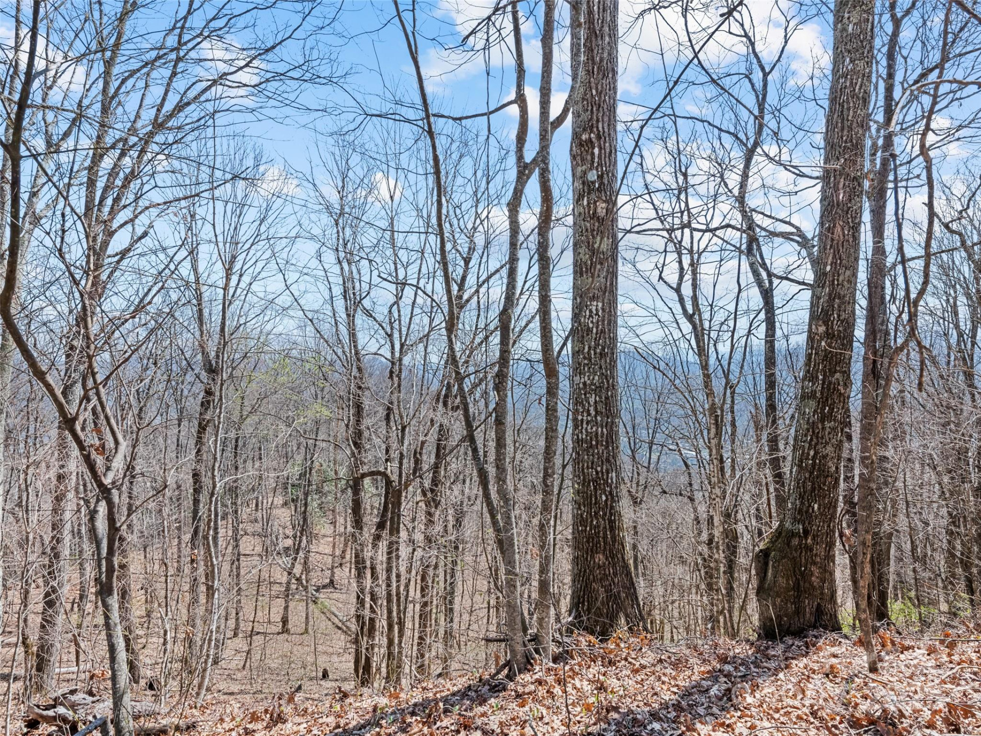 000 Larchwood Point - Photo 19