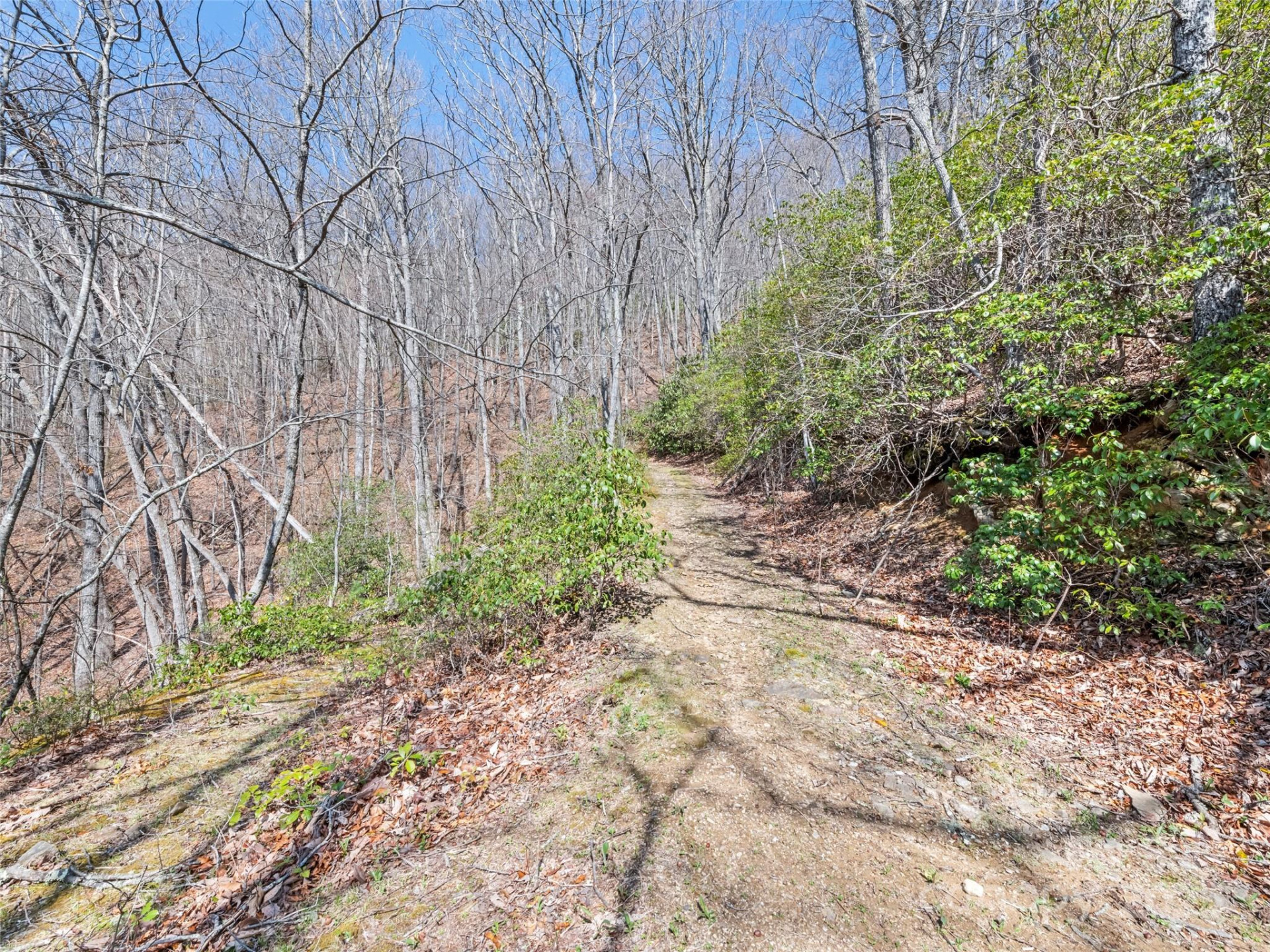 000 Larchwood Point - Photo 20