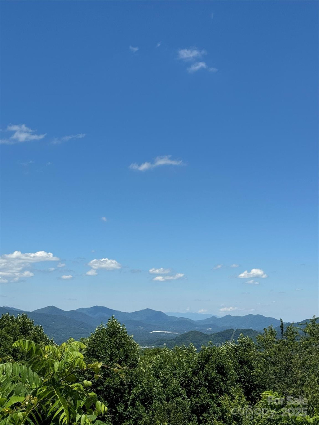 000 Larchwood Point - Photo 3