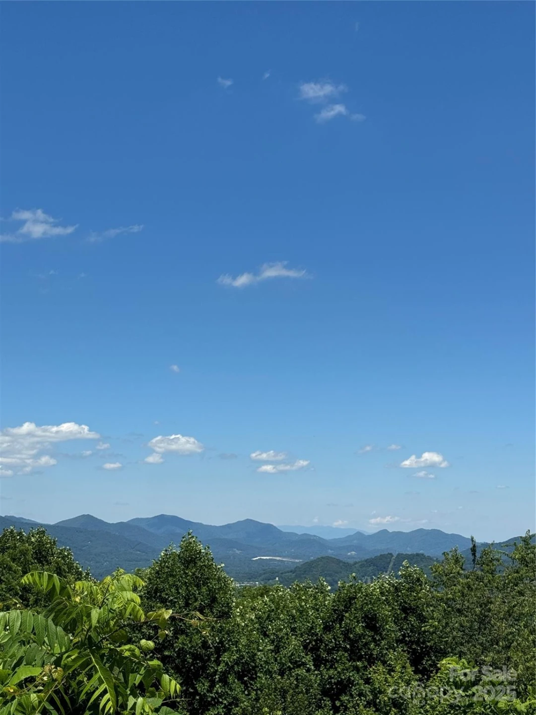 000 Larchwood Point - Photo 3