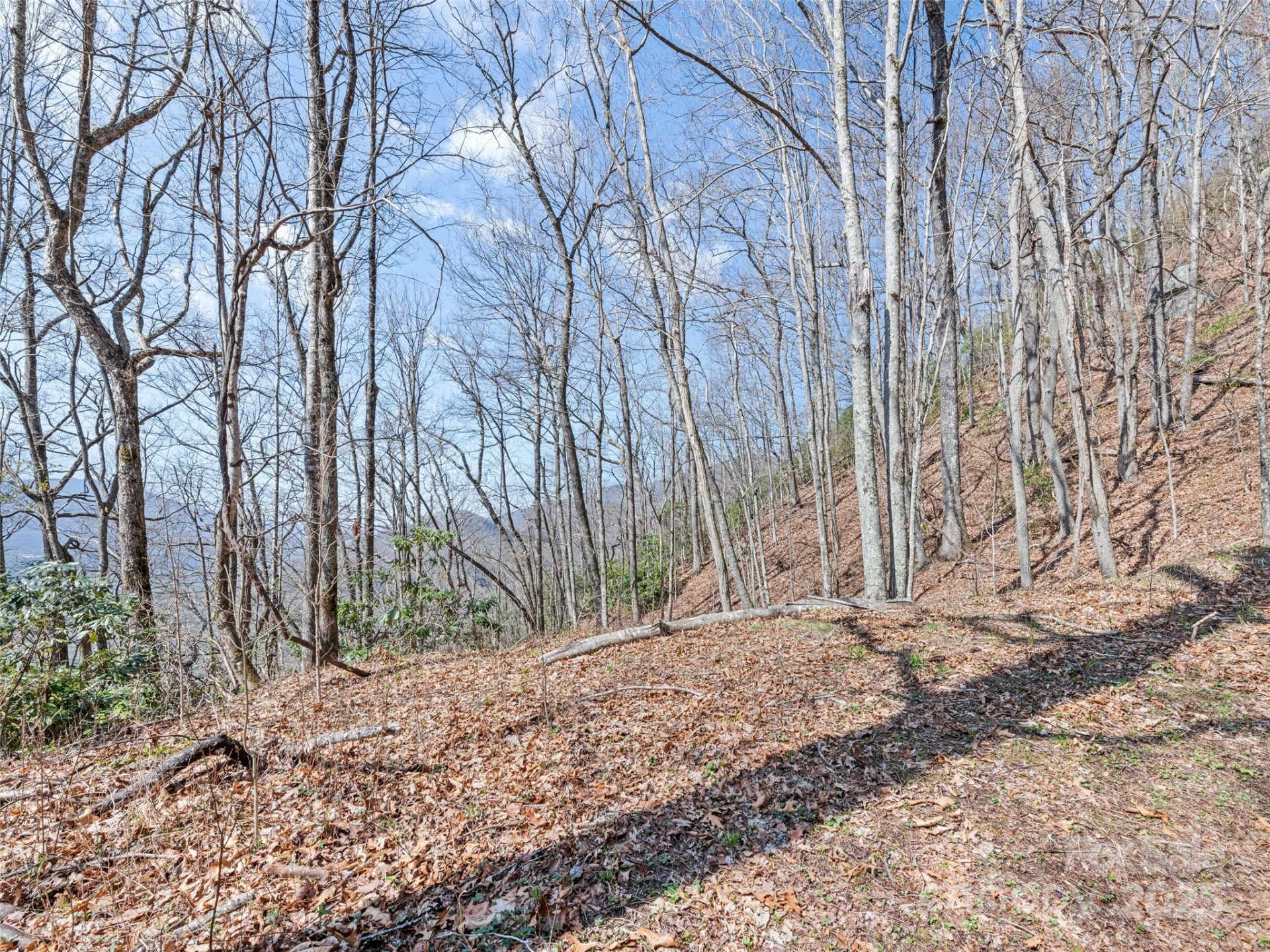 000 Larchwood Point - Photo 21