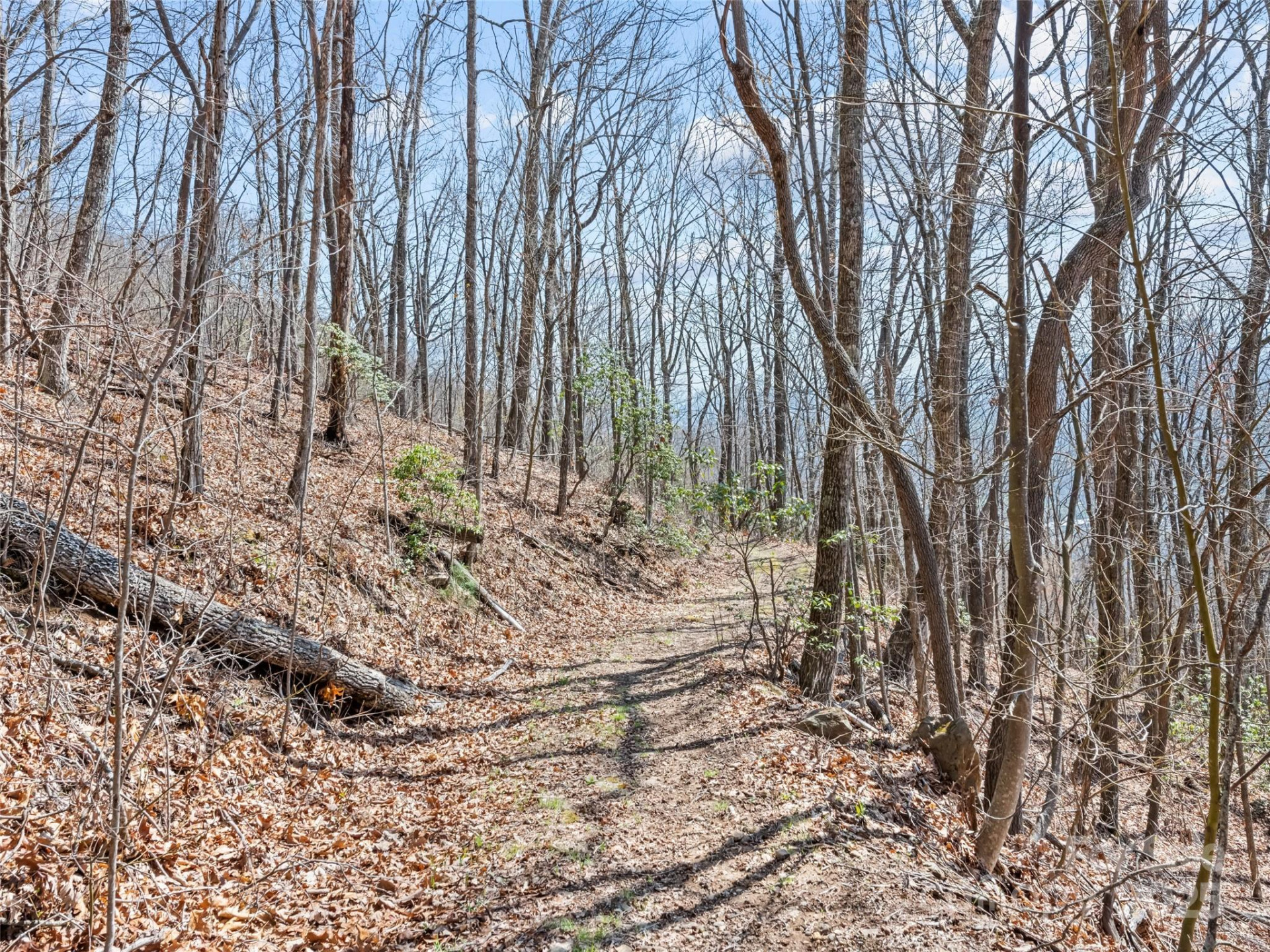 000 Larchwood Point - Photo 22