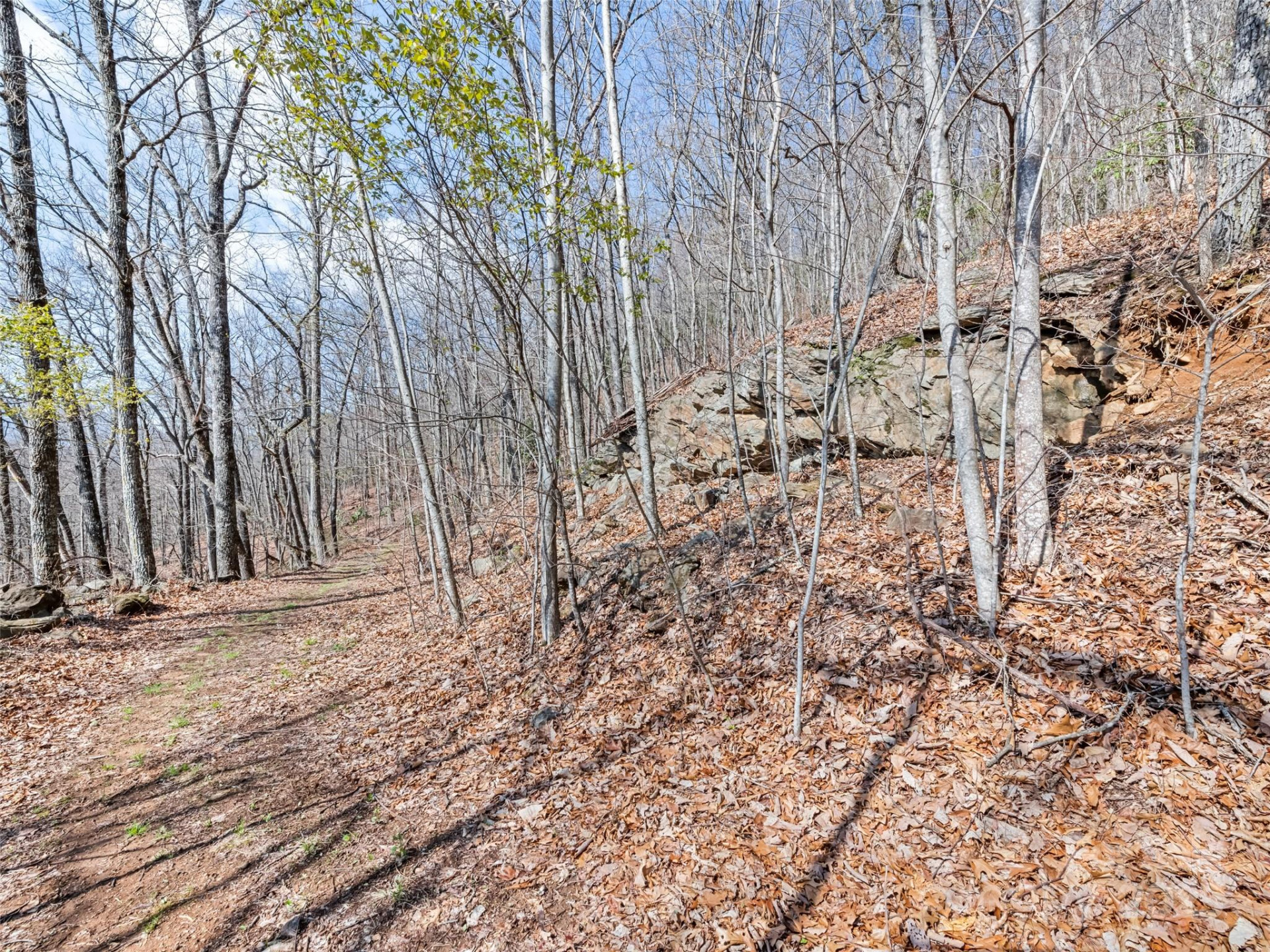 000 Larchwood Point - Photo 23