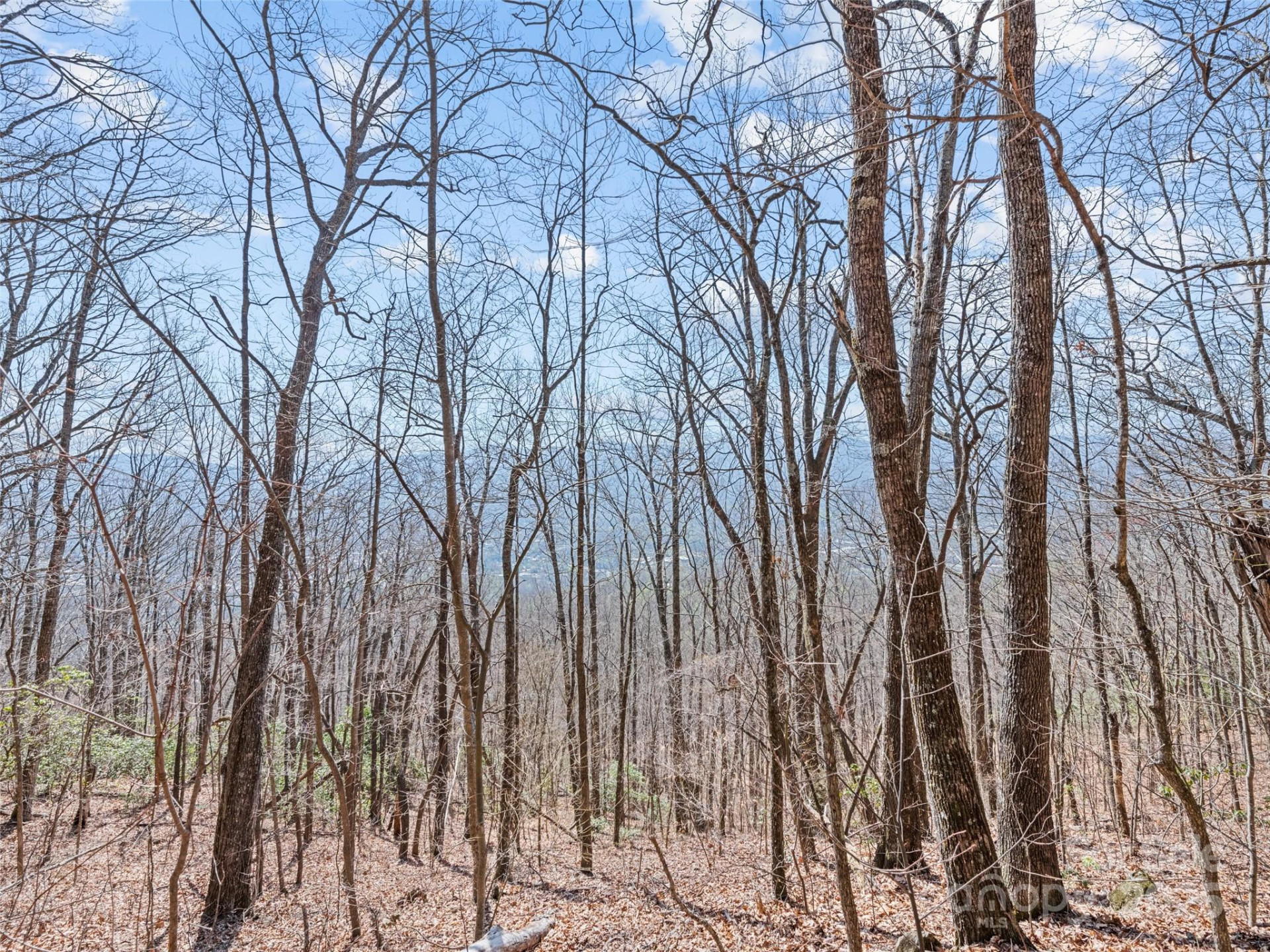 000 Larchwood Point - Photo 24