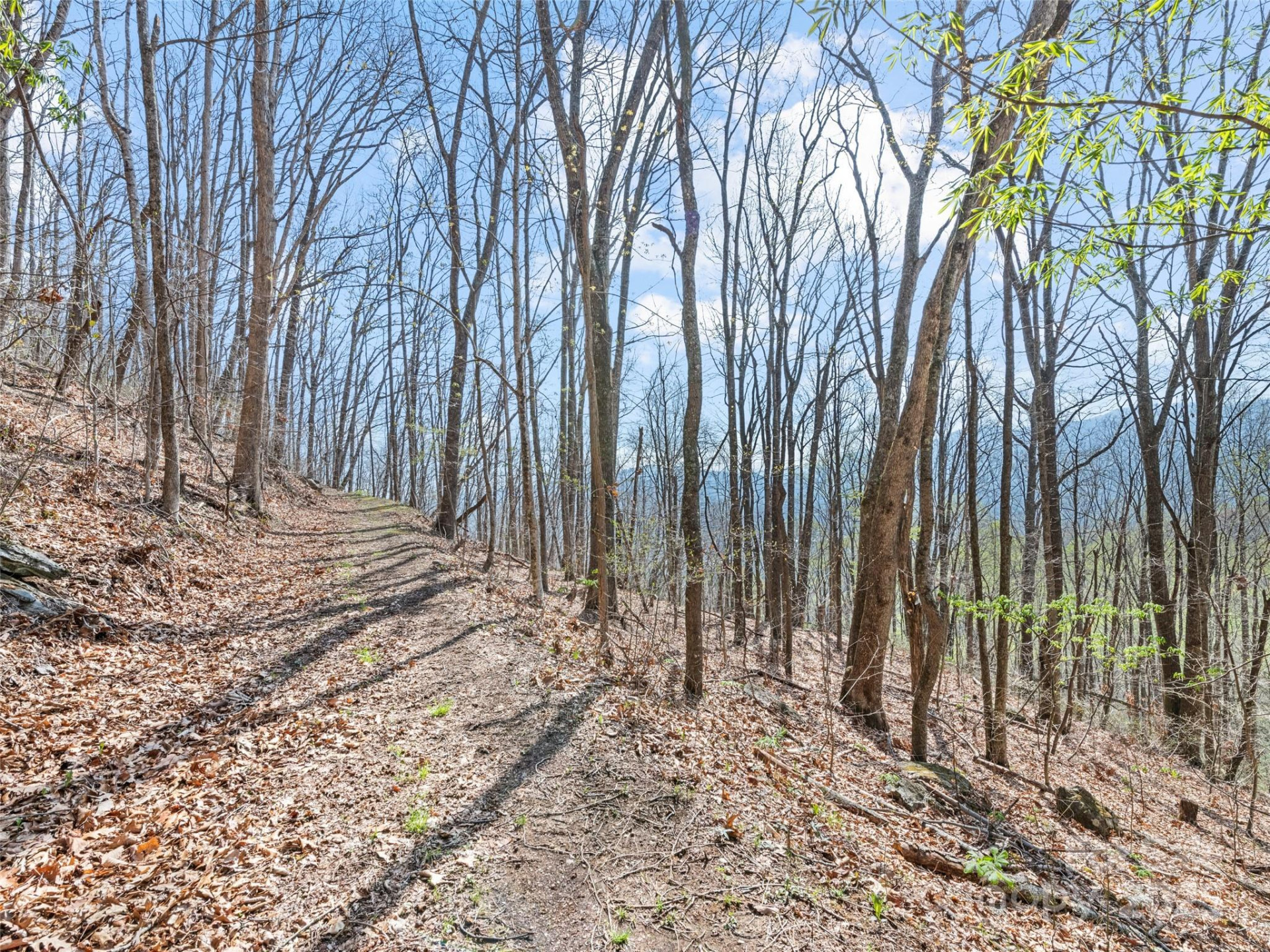 000 Larchwood Point - Photo 25