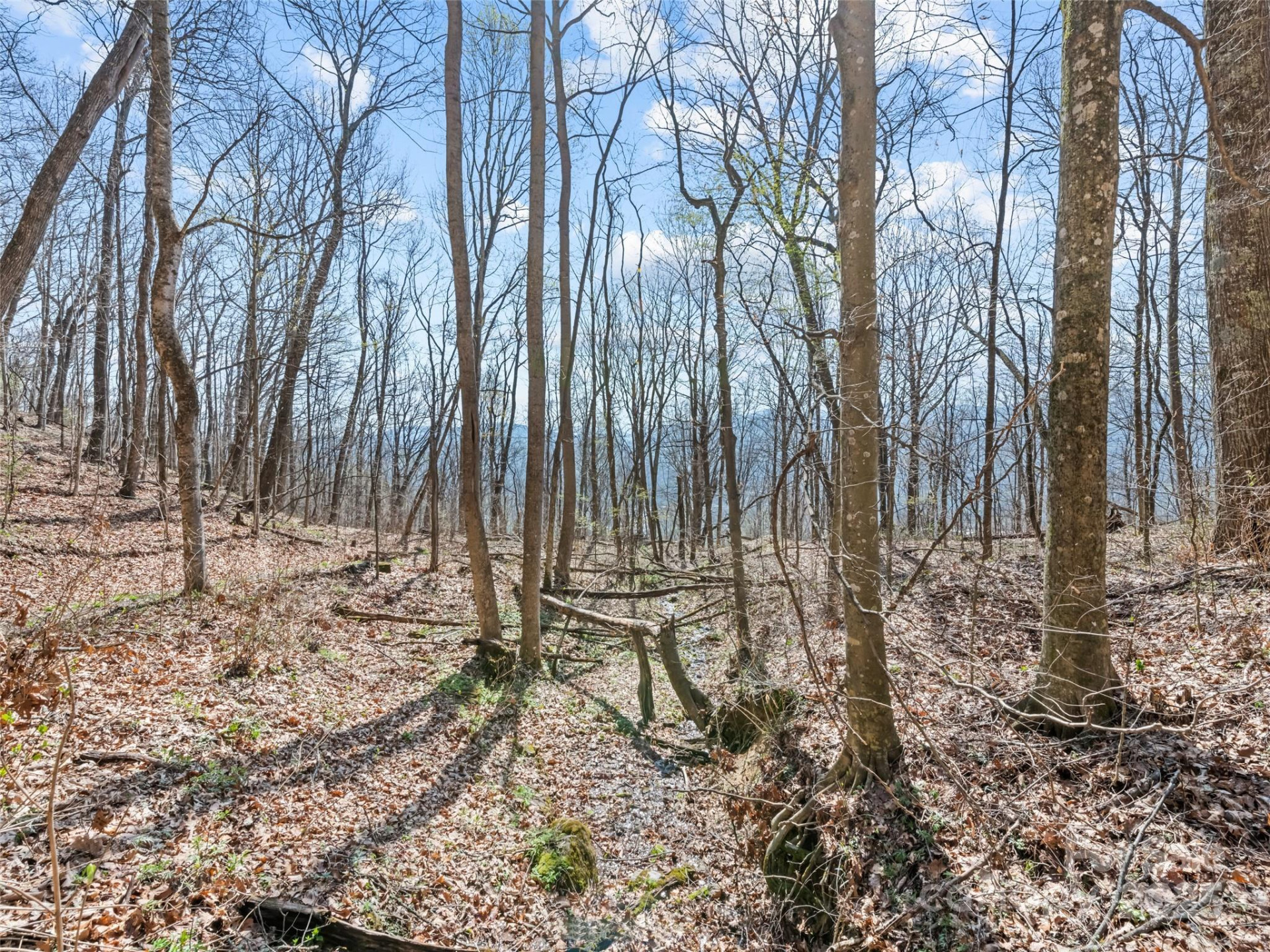 000 Larchwood Point - Photo 26