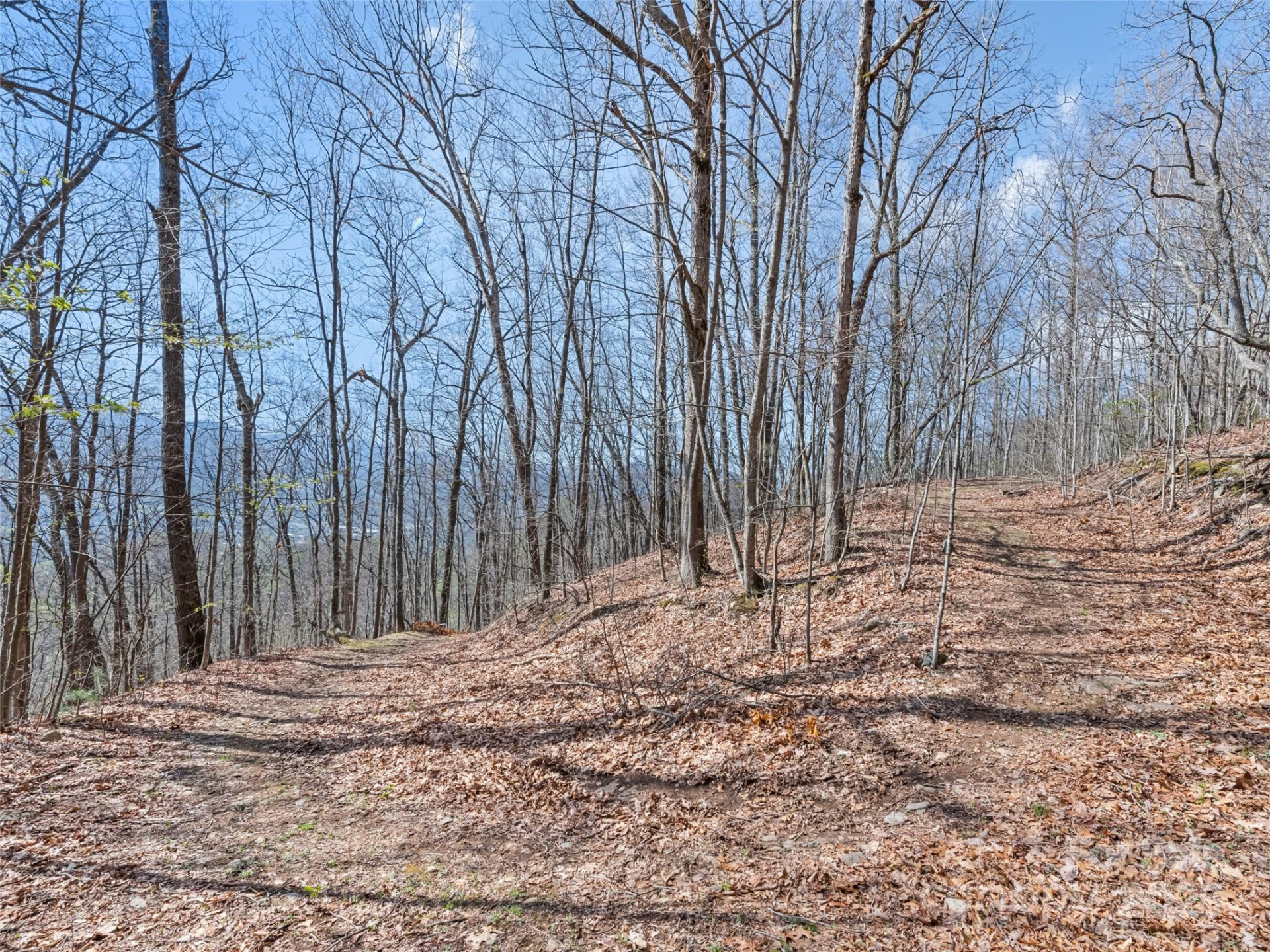 000 Larchwood Point - Photo 27