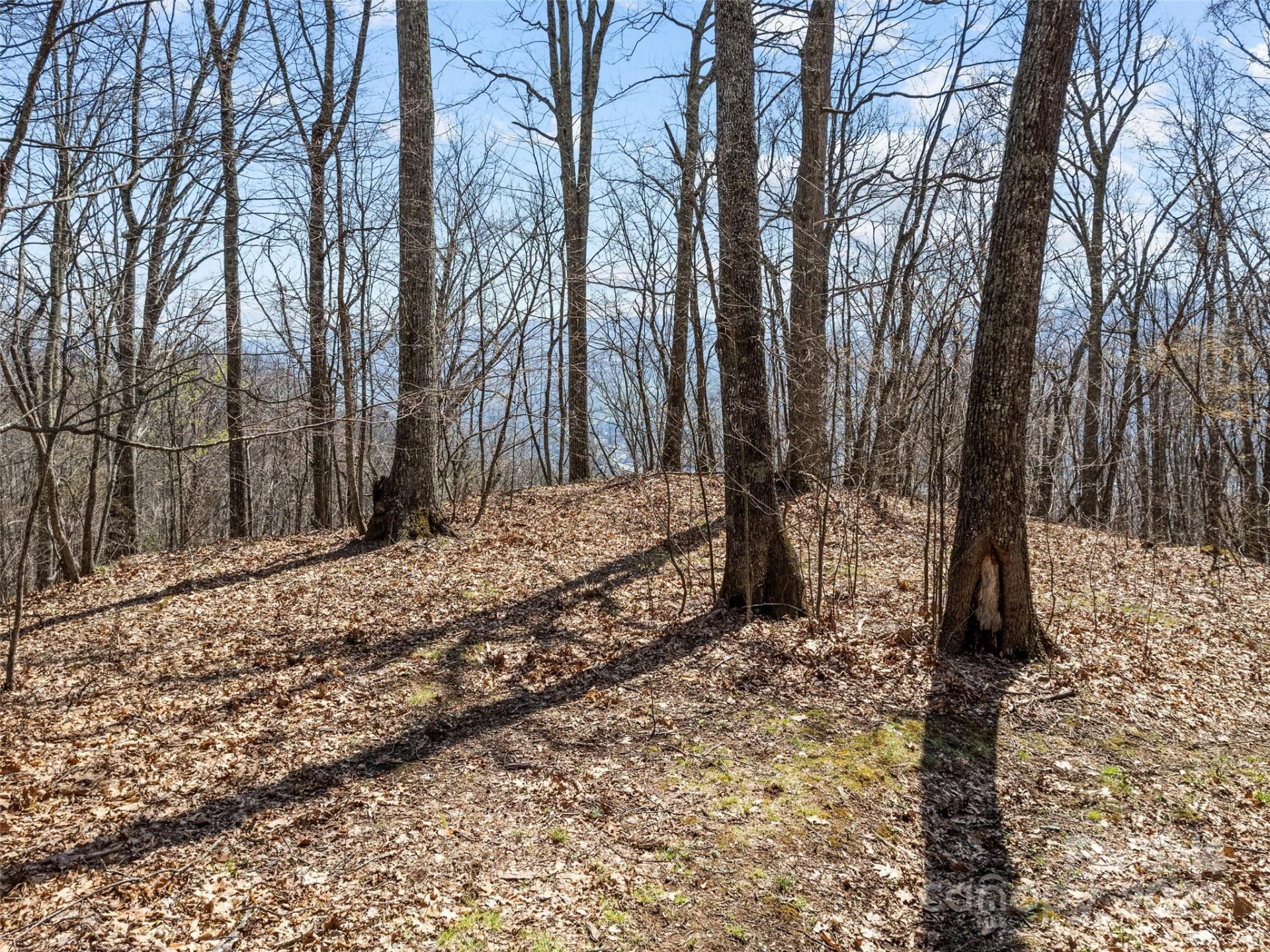 000 Larchwood Point - Photo 28