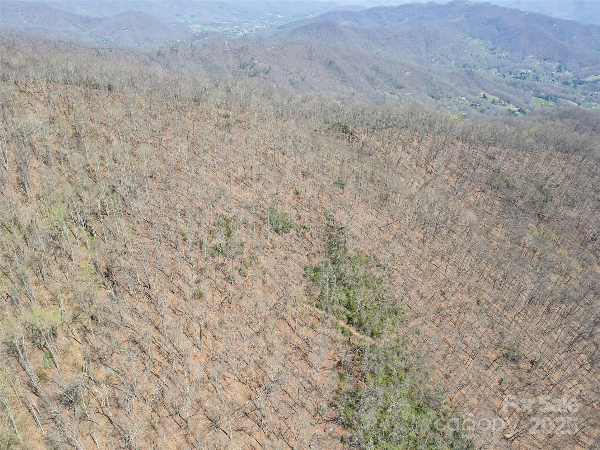 000 Larchwood Point - Photo 31