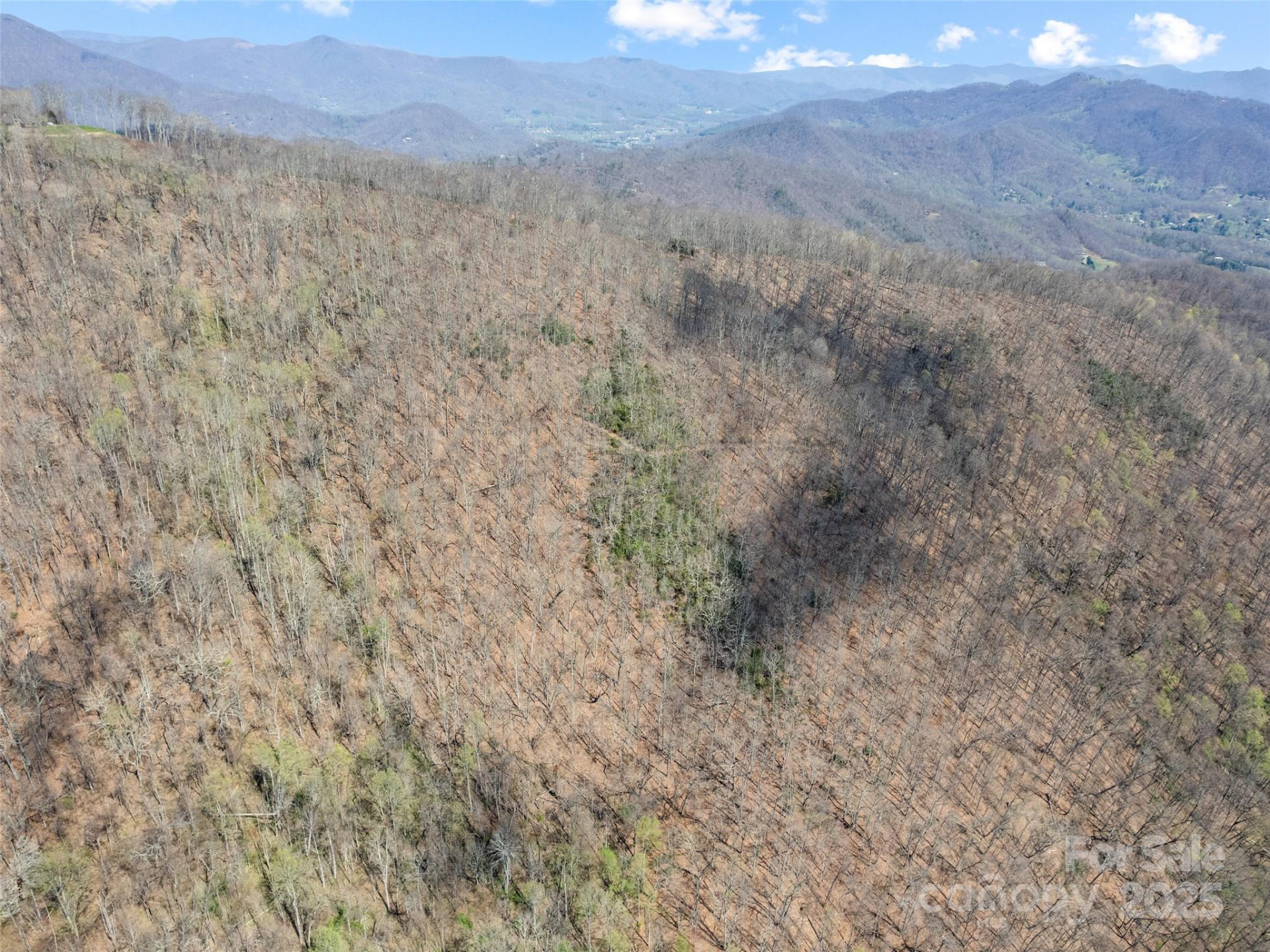 000 Larchwood Point - Photo 35