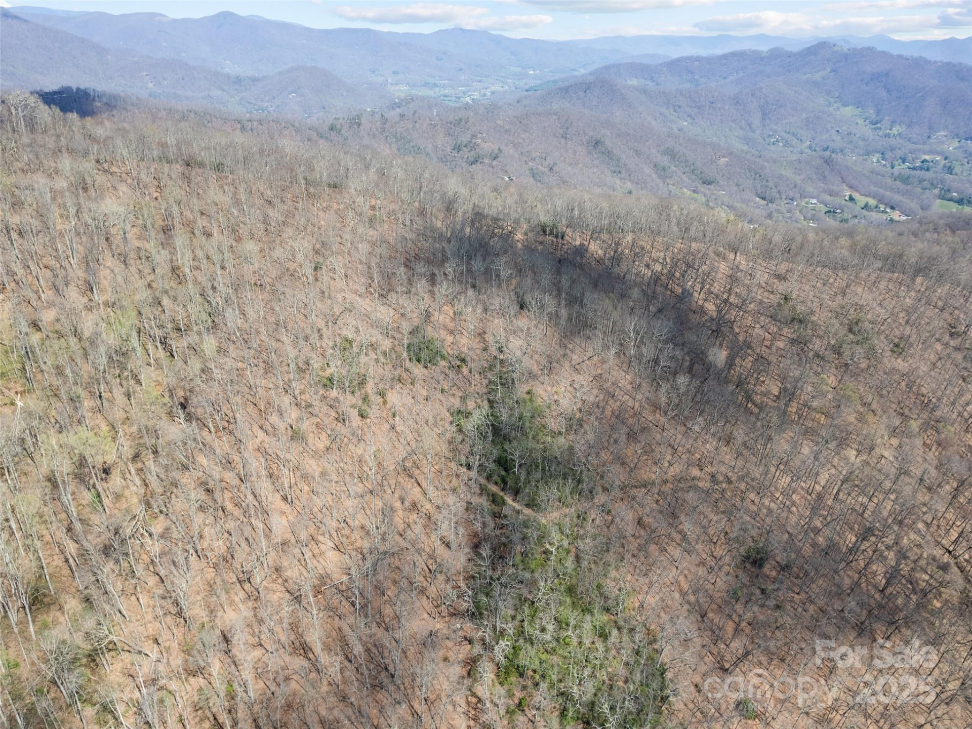 000 Larchwood Point - Photo 36