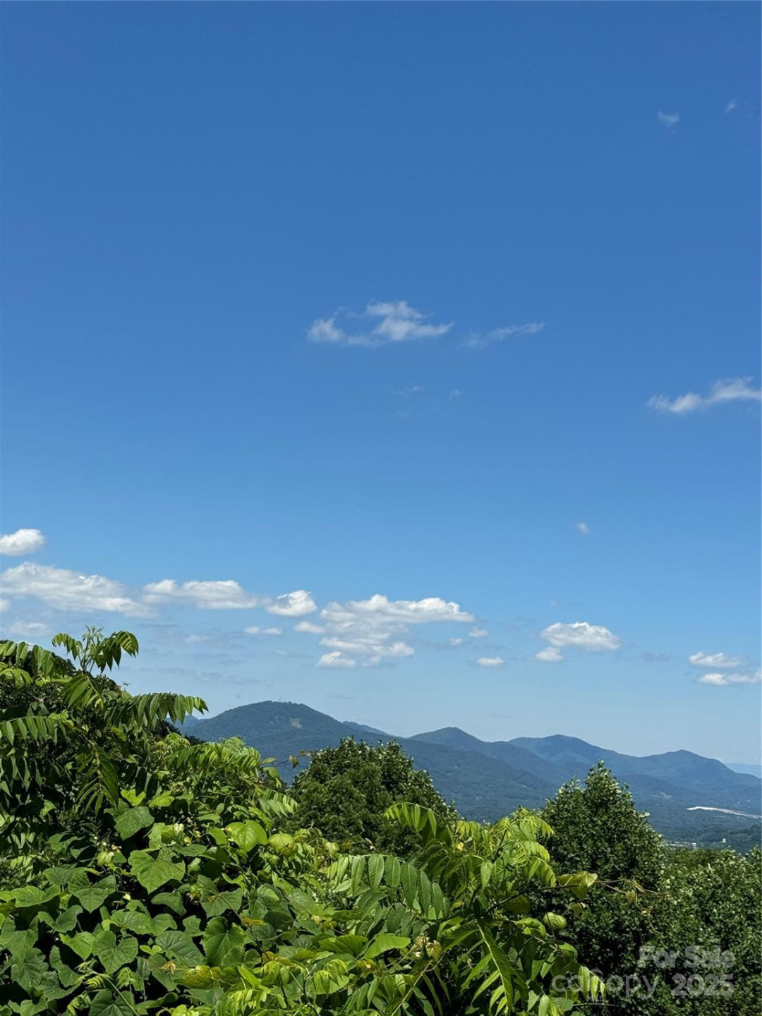 000 Larchwood Point - Photo 5