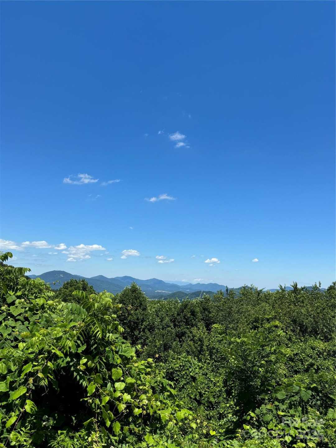 000 Larchwood Point - Photo 7