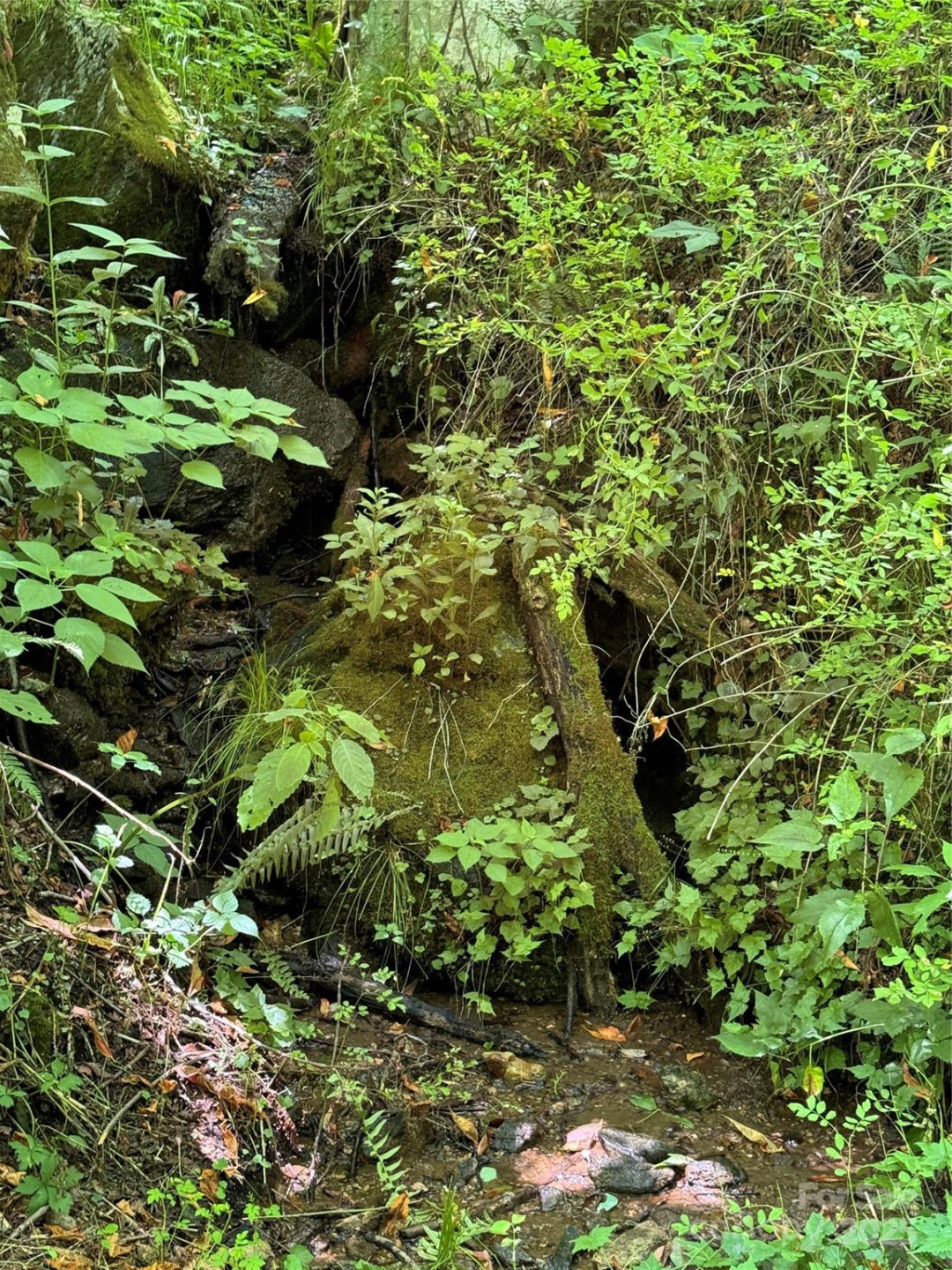 000 Larchwood Point - Photo 8