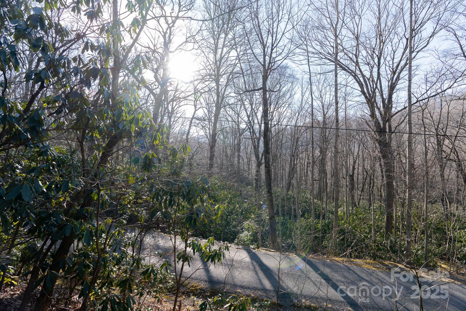 00 Rock Springs Road #10 - Photo 11