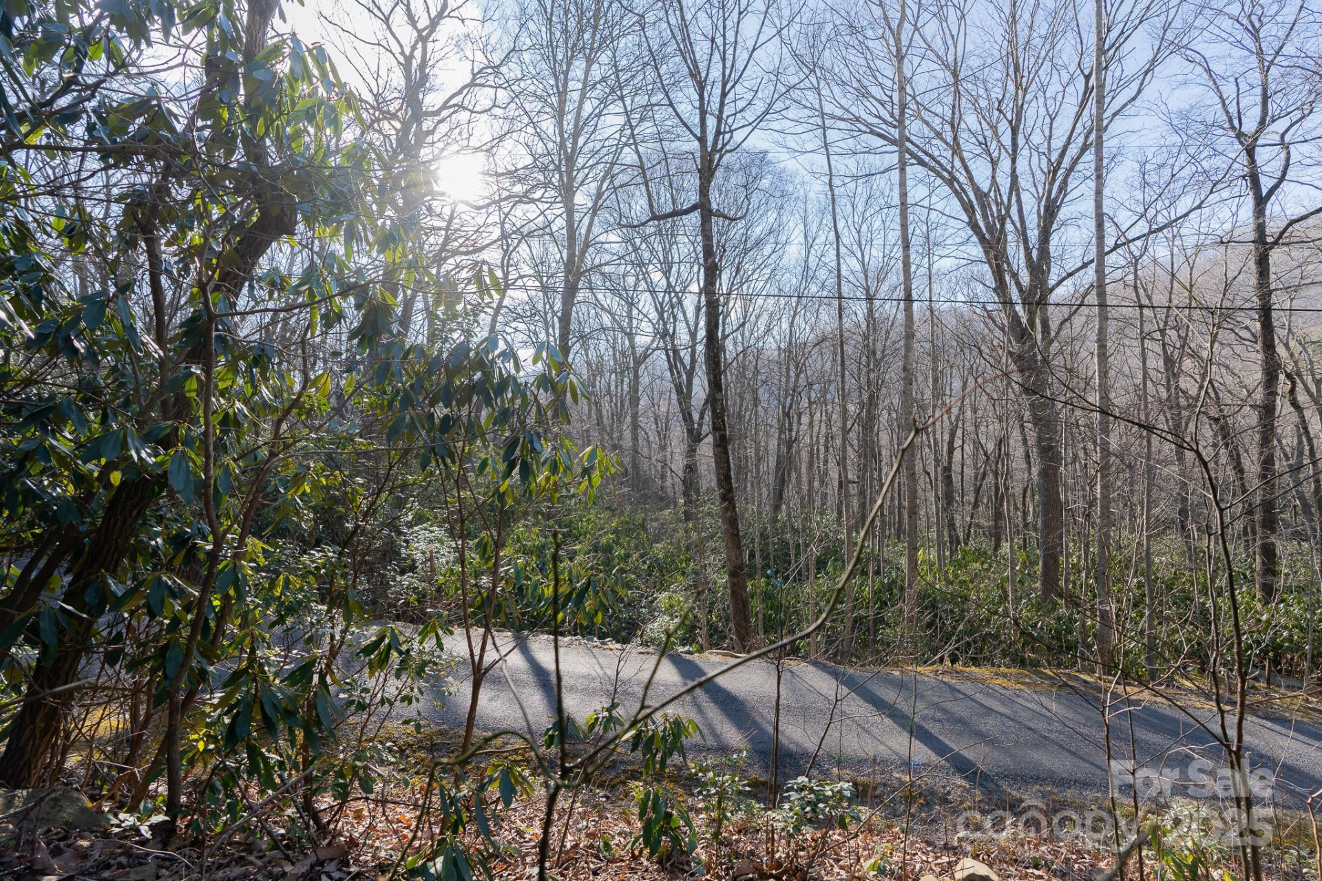 00 Rock Springs Road #10 - Photo 12