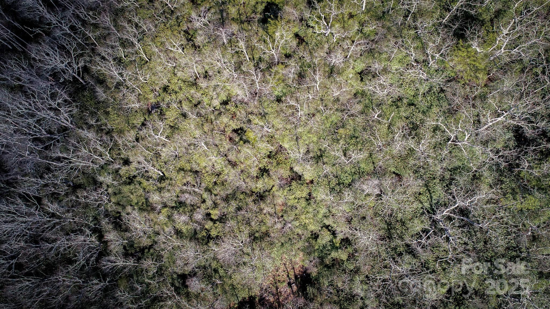 00 Rock Springs Road #10 - Photo 14