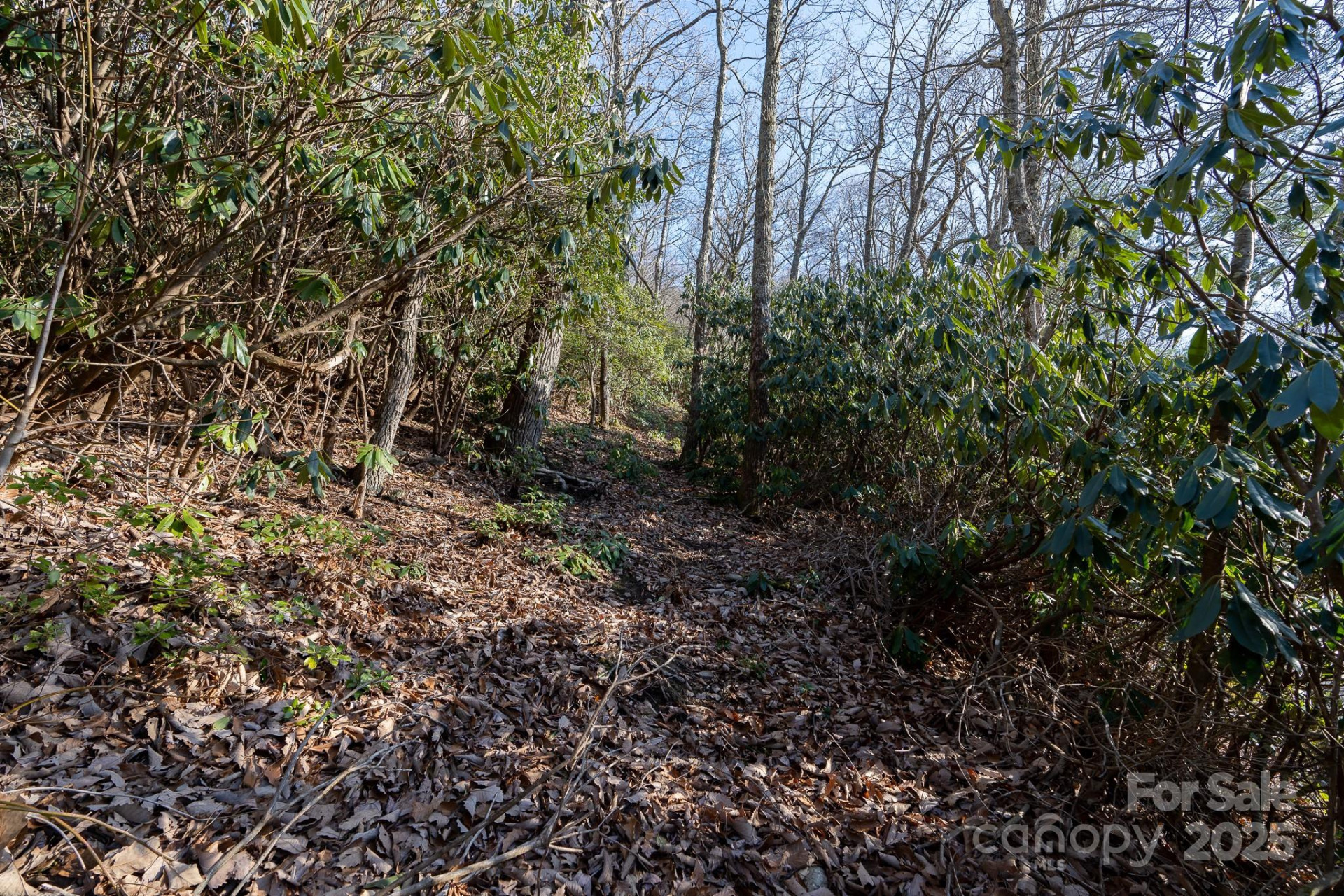 00 Rock Springs Road #10 - Photo 15