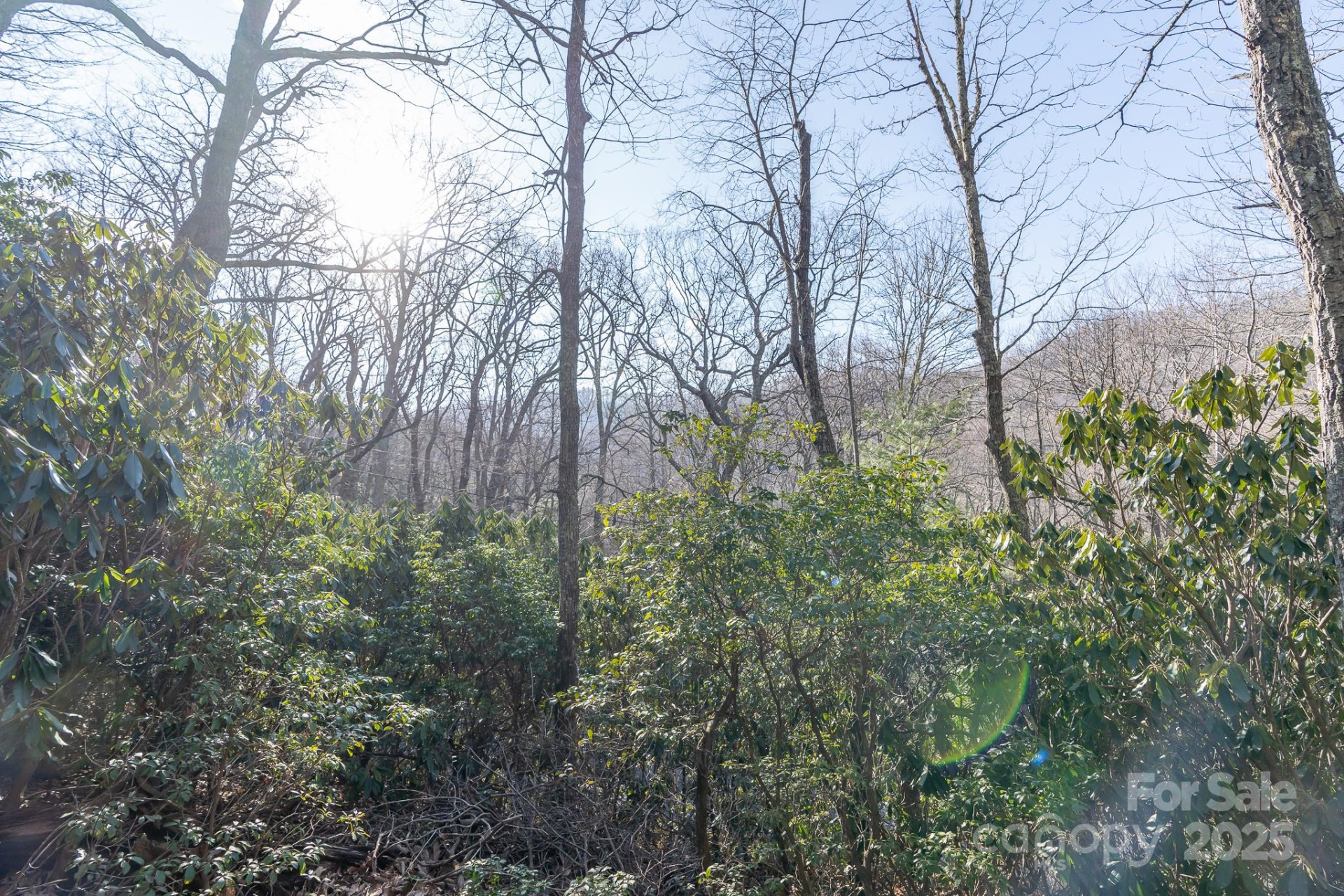 00 Rock Springs Road #10 - Photo 17