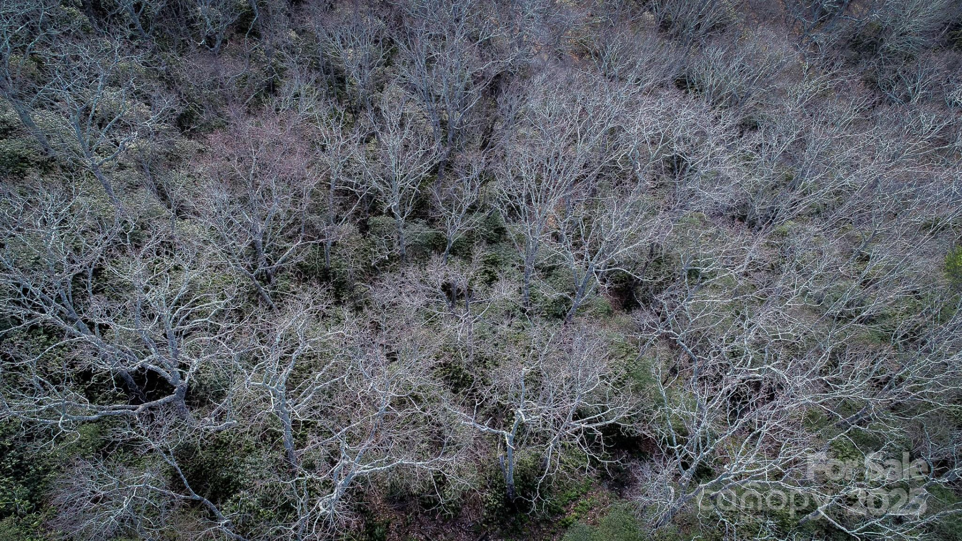 00 Rock Springs Road #10 - Photo 19