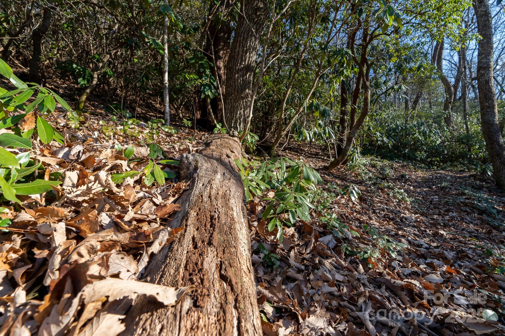 00 Rock Springs Road #10 - Photo 20