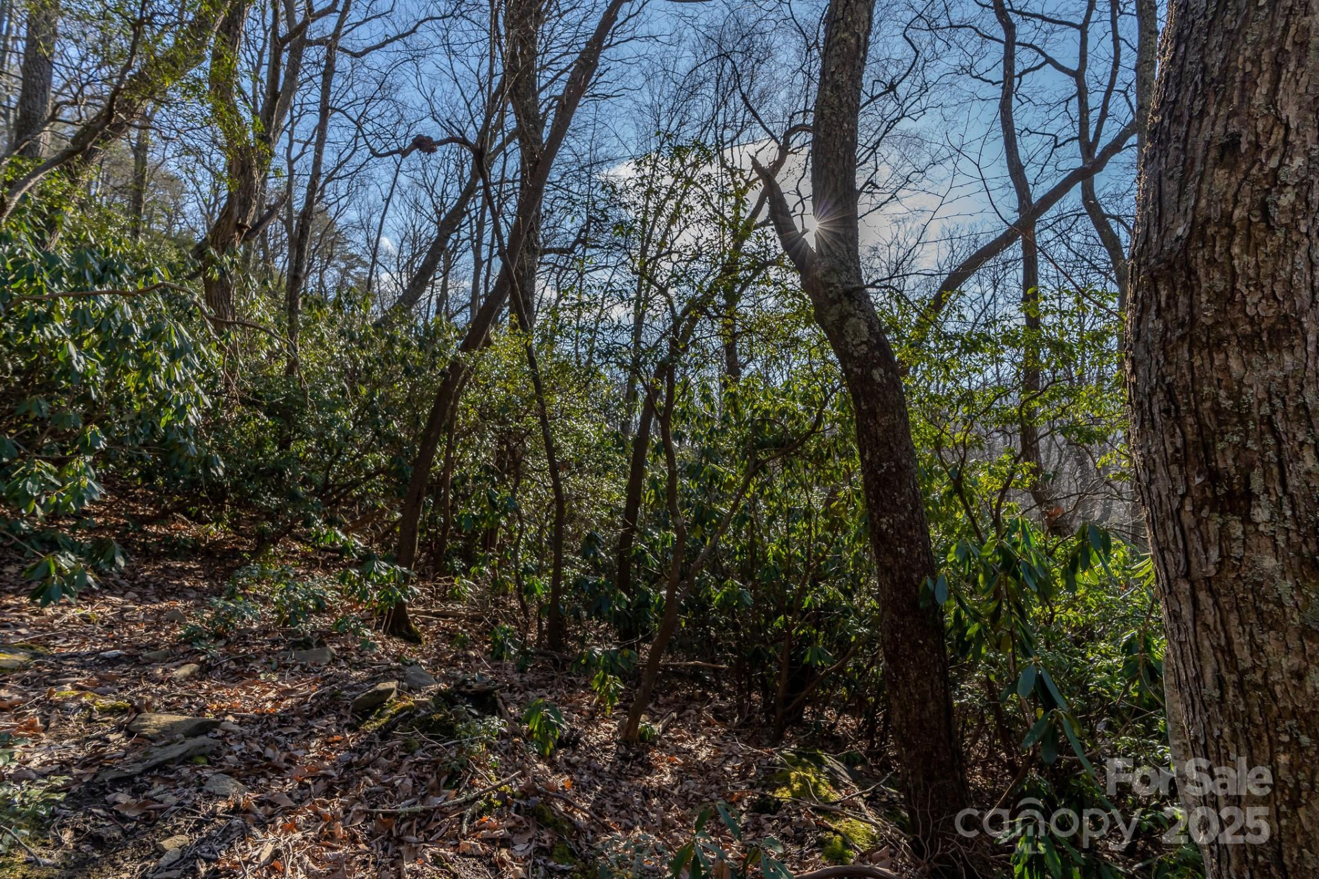 00 Rock Springs Road #10 - Photo 21