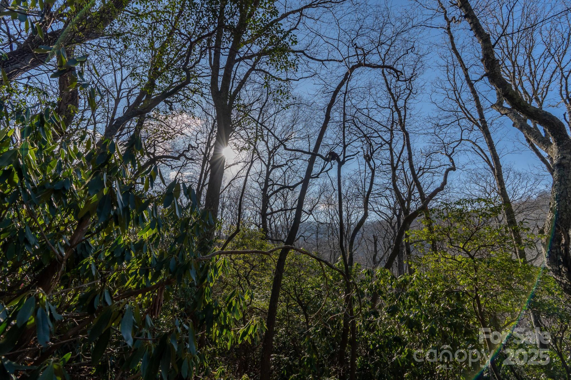 00 Rock Springs Road #10 - Photo 22