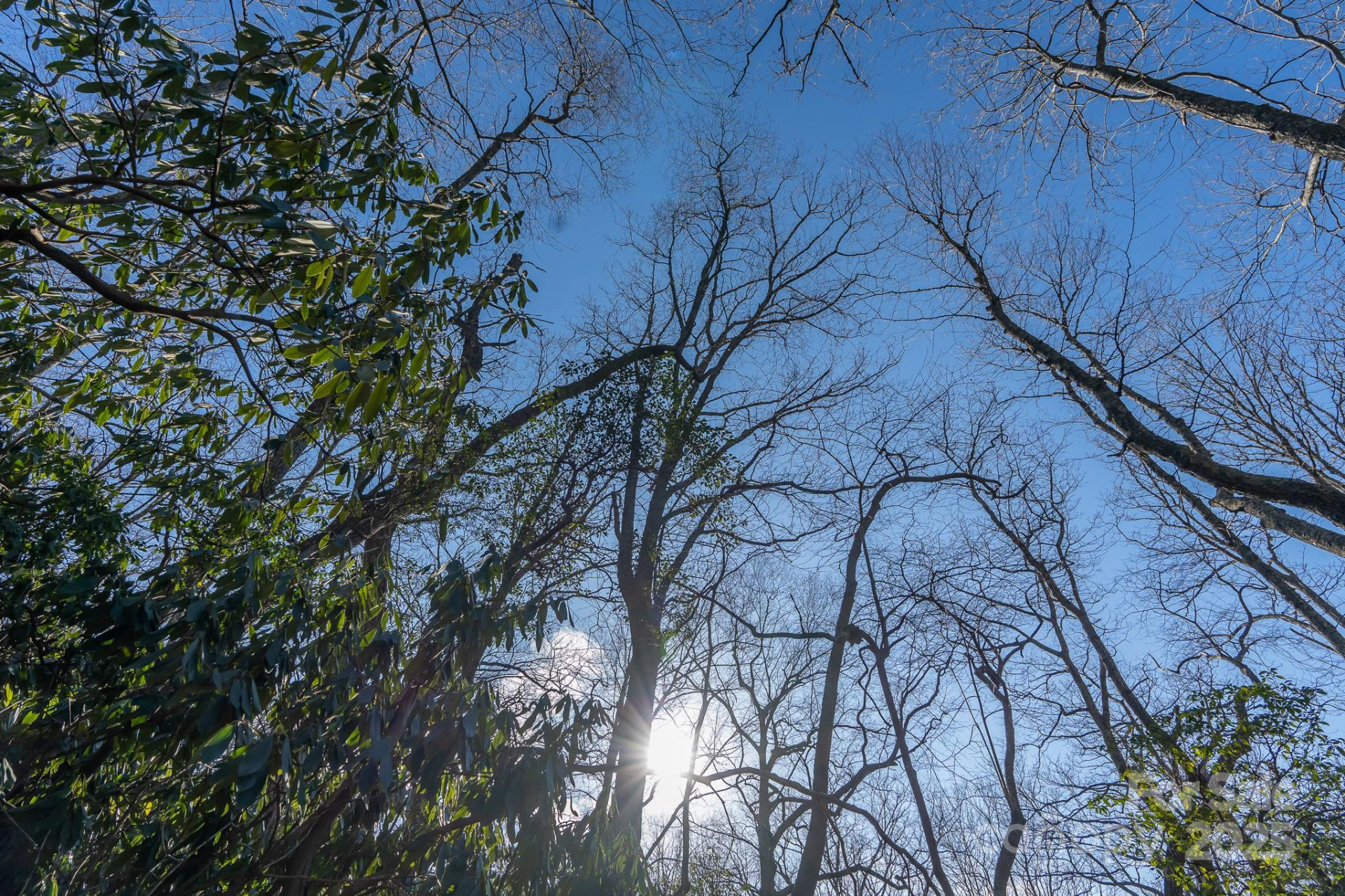 00 Rock Springs Road #10 - Photo 23