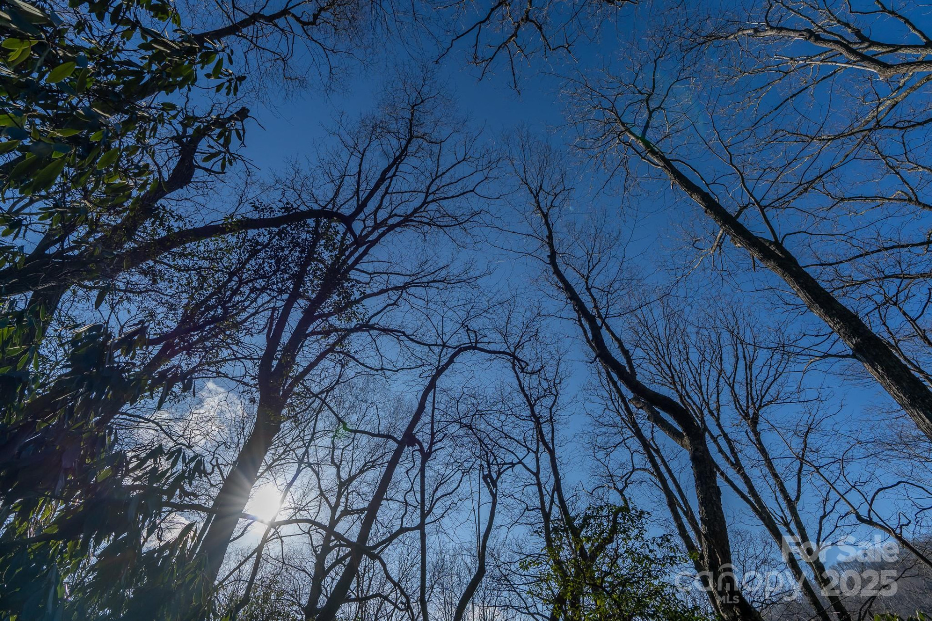 00 Rock Springs Road #10 - Photo 24