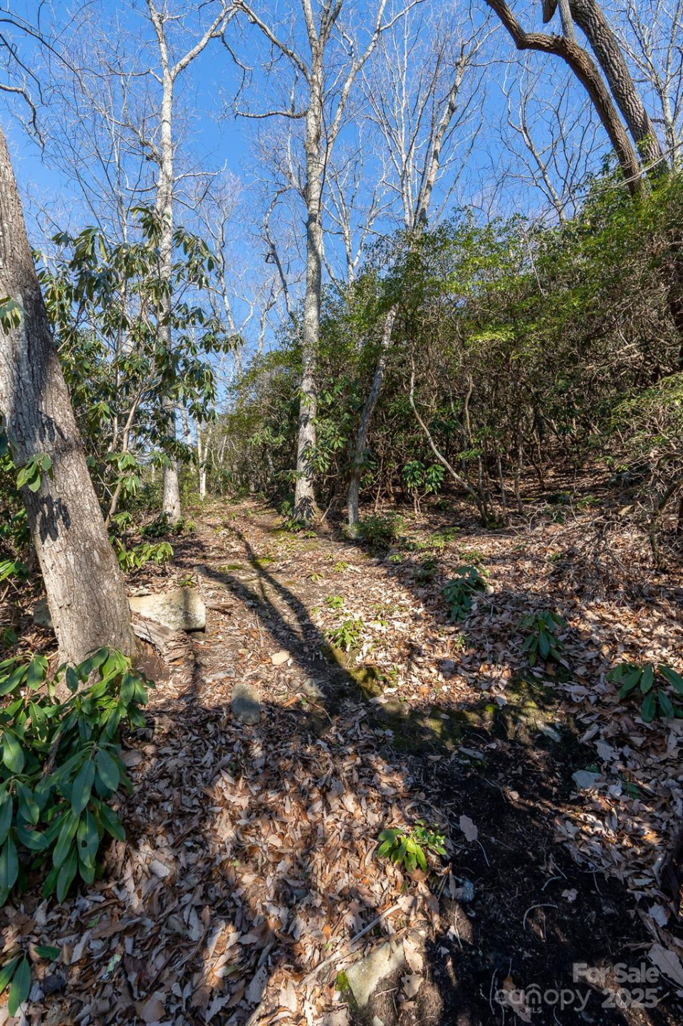 00 Rock Springs Road #10 - Photo 25