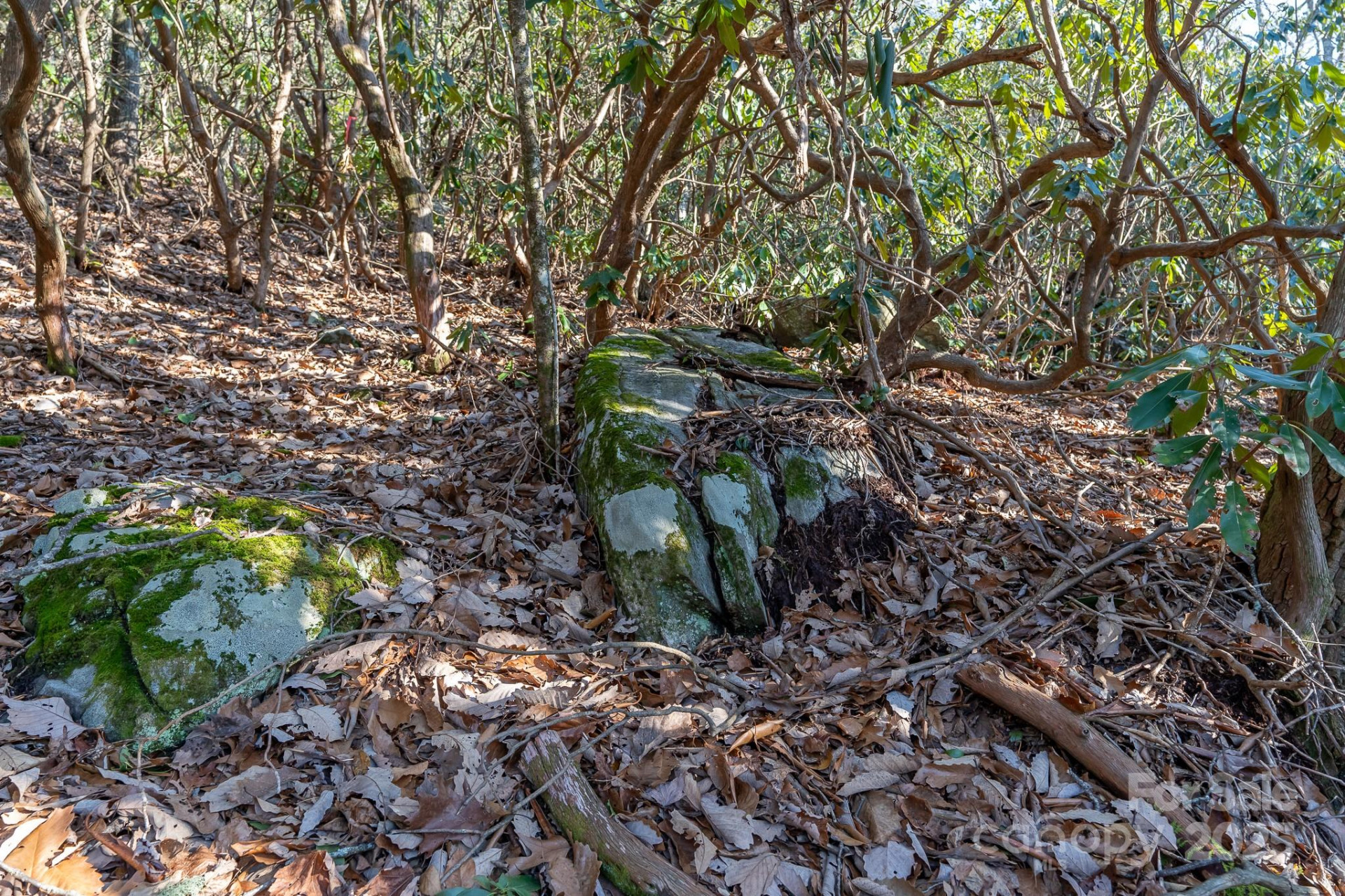 00 Rock Springs Road #10 - Photo 26