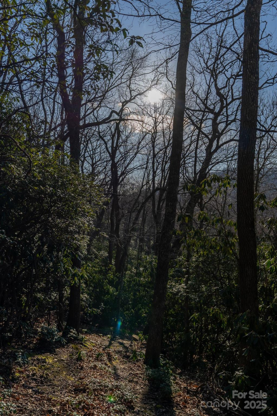 00 Rock Springs Road #10 - Photo 29