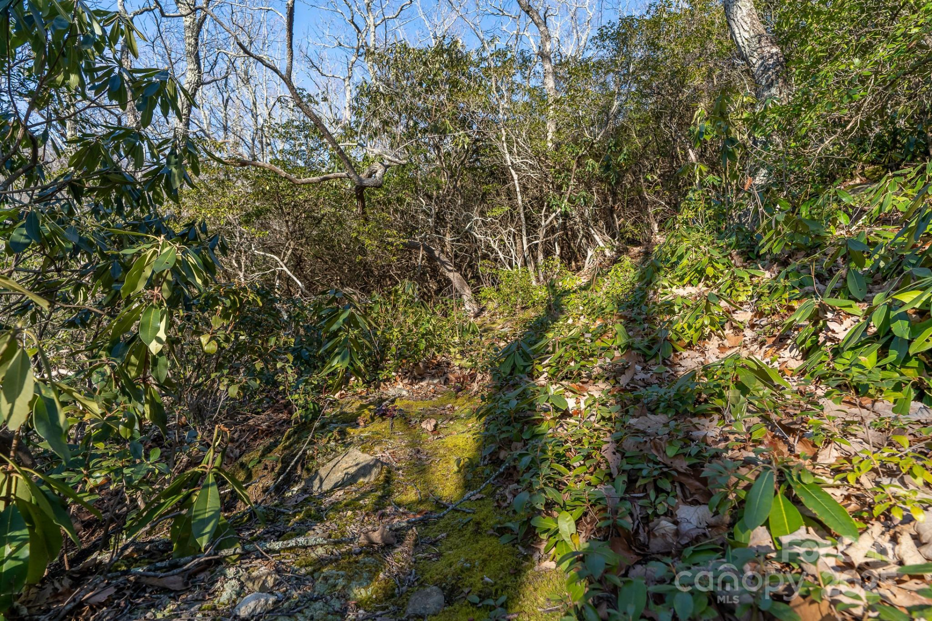 00 Rock Springs Road #10 - Photo 30