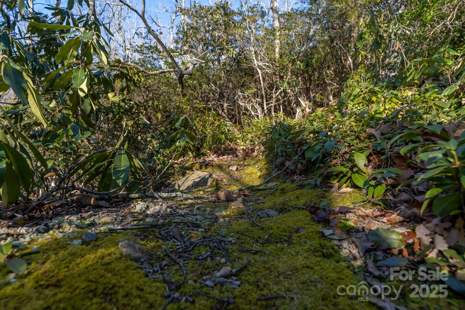 00 Rock Springs Road #10 - Photo 31