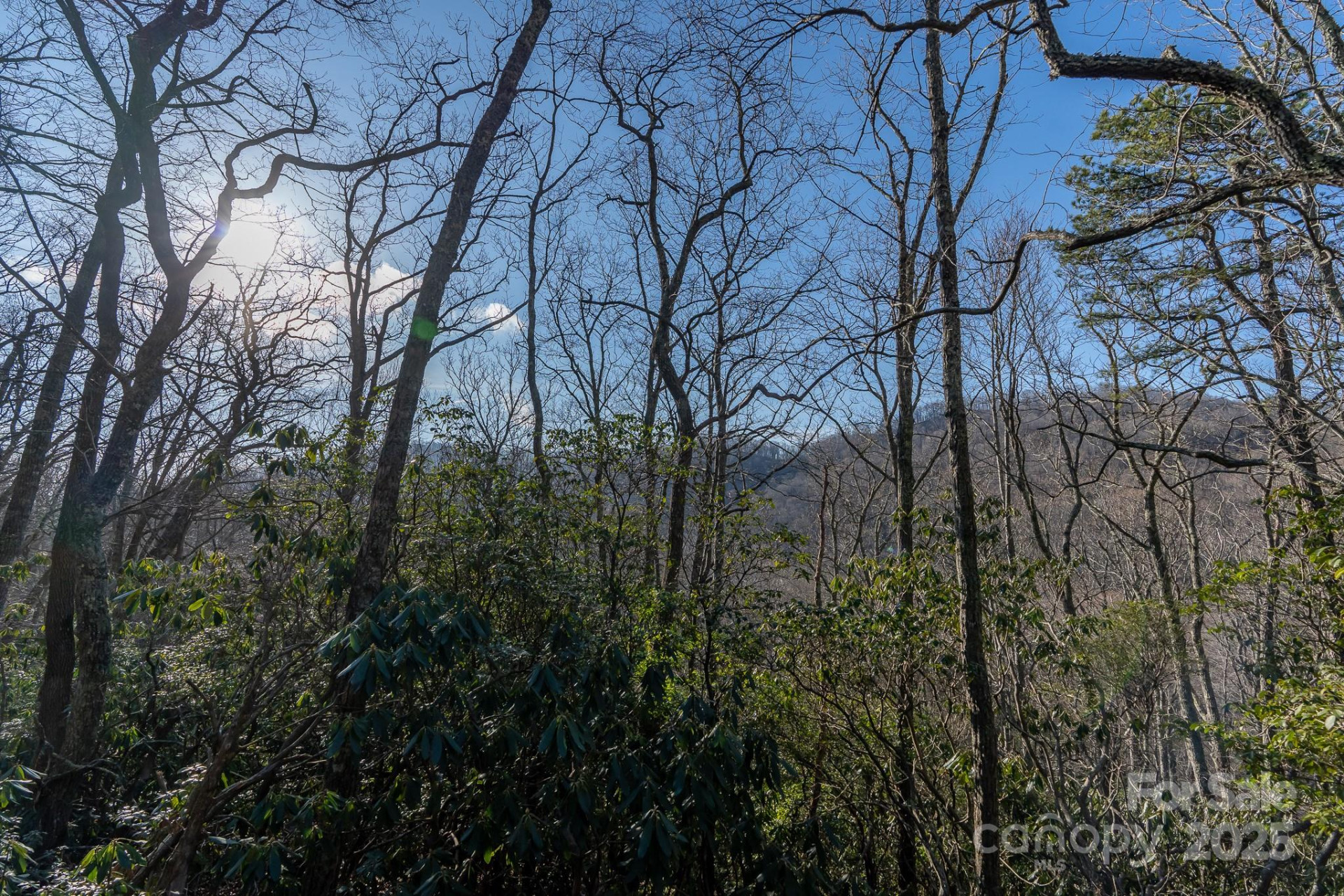 00 Rock Springs Road #10 - Photo 32