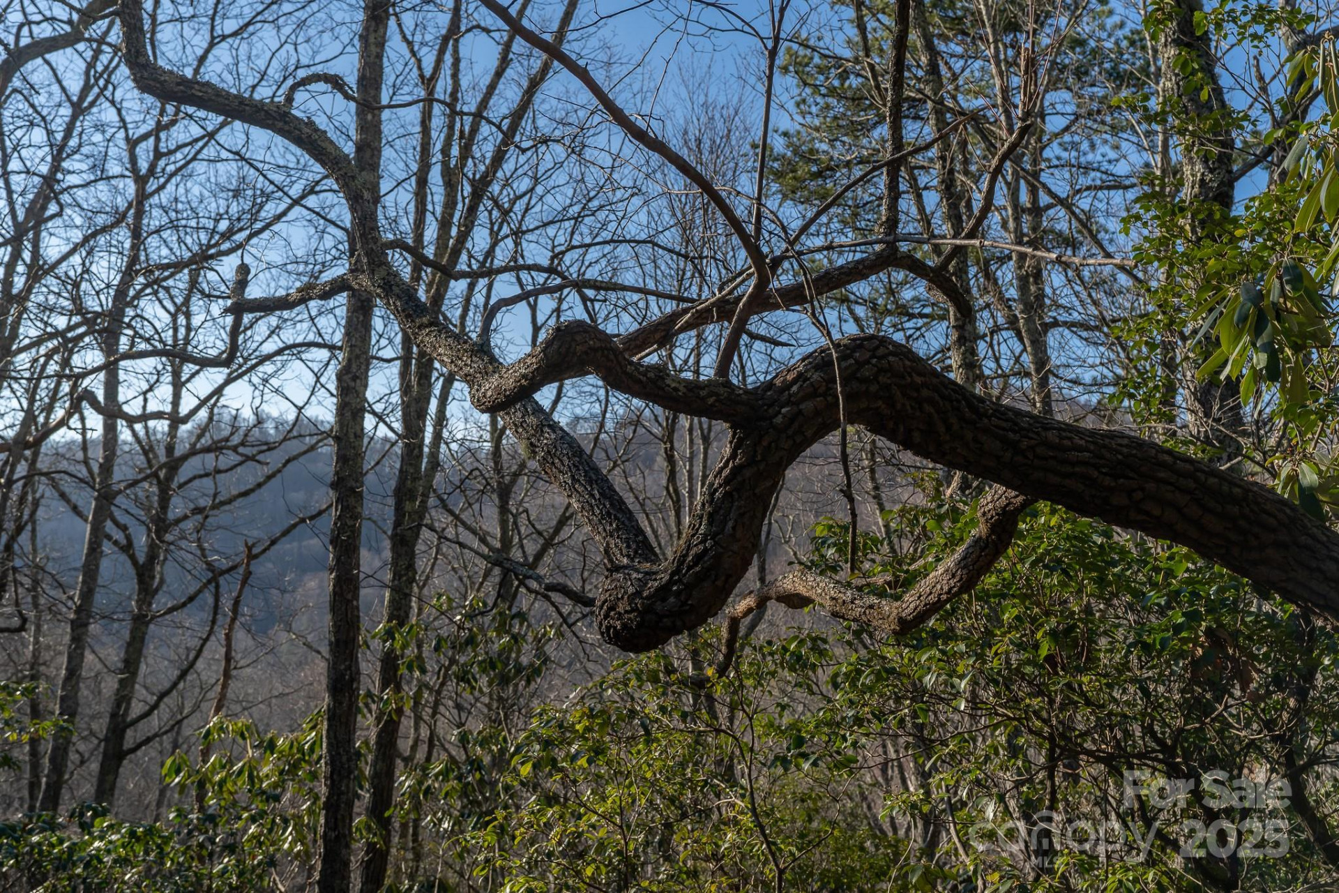 00 Rock Springs Road #10 - Photo 33
