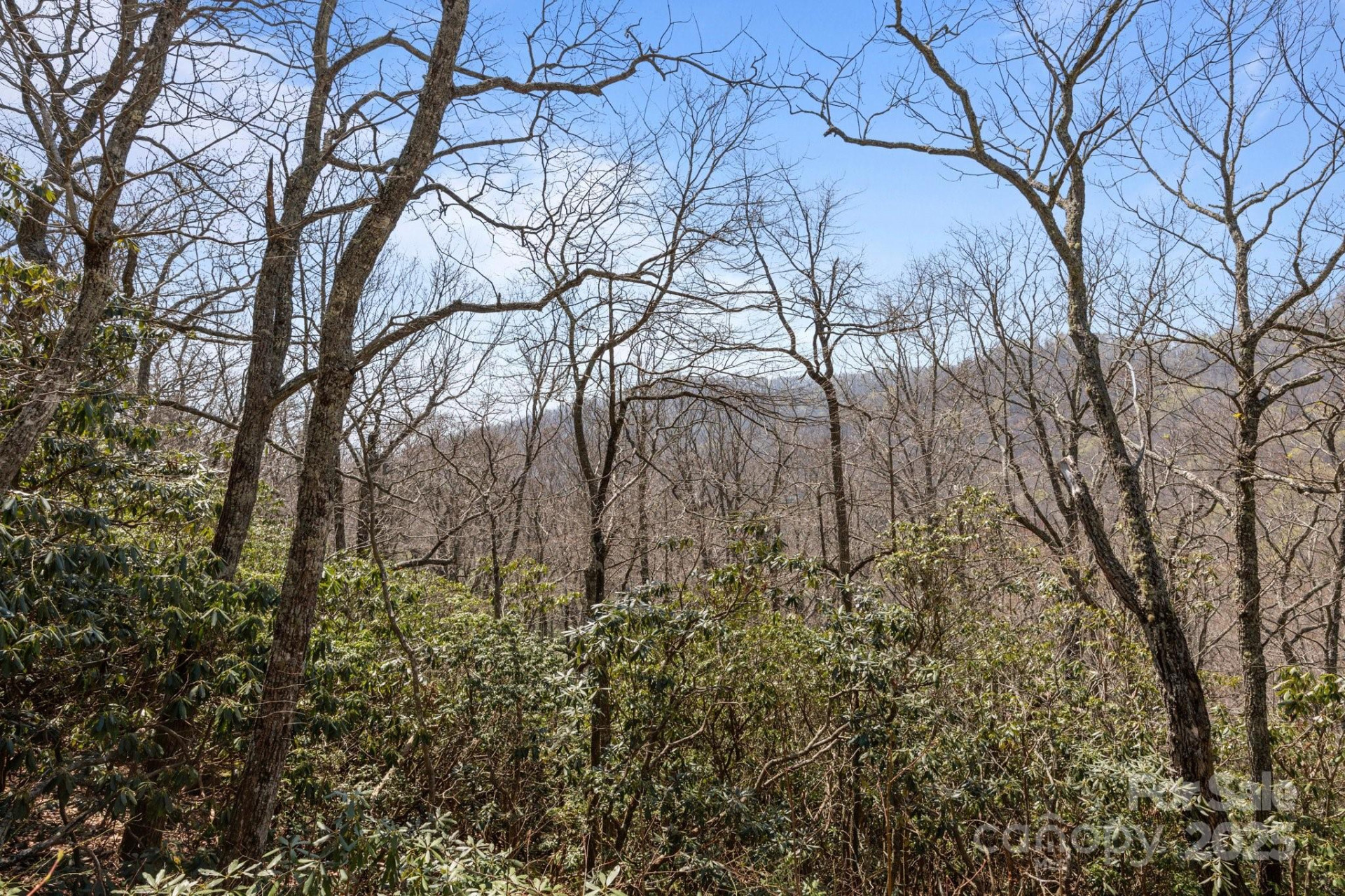 00 Rock Springs Road #10 - Photo 39